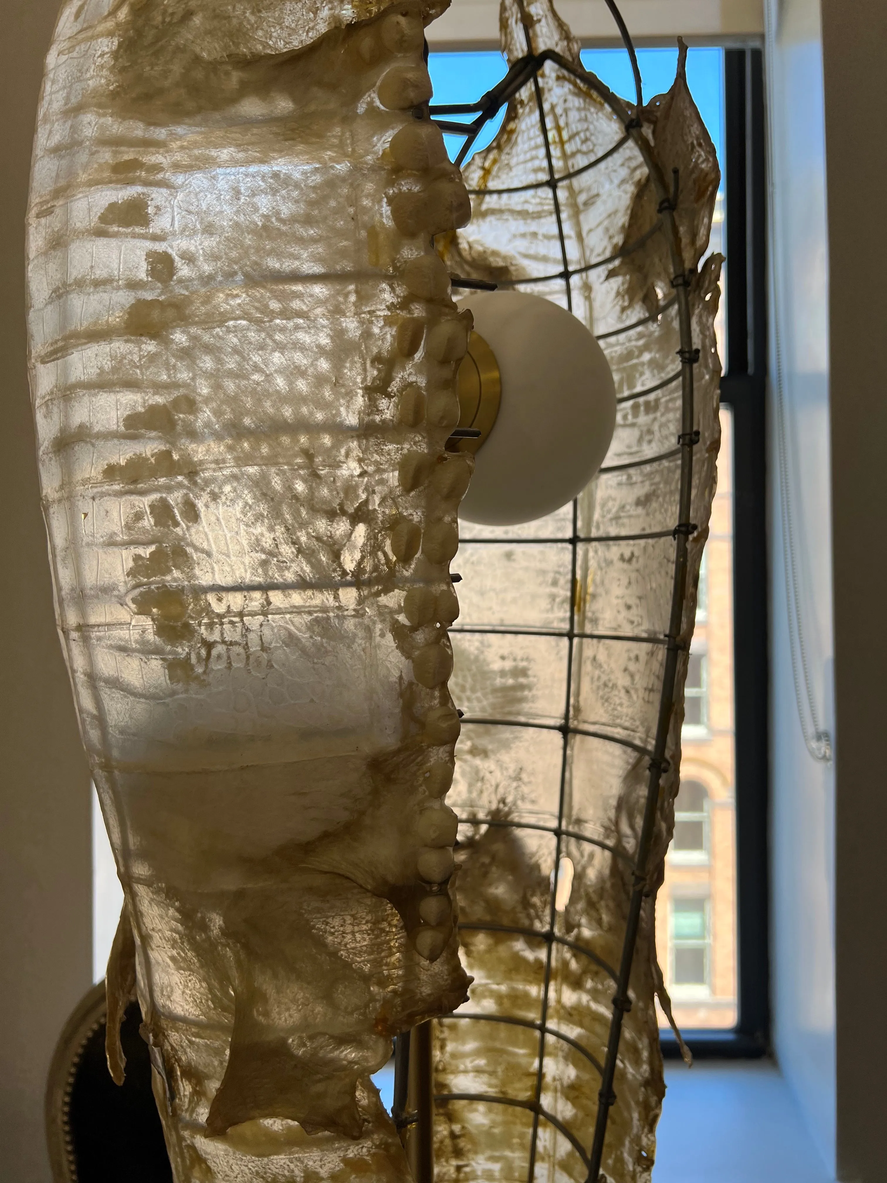 ALLIGATOR PARCHMENT