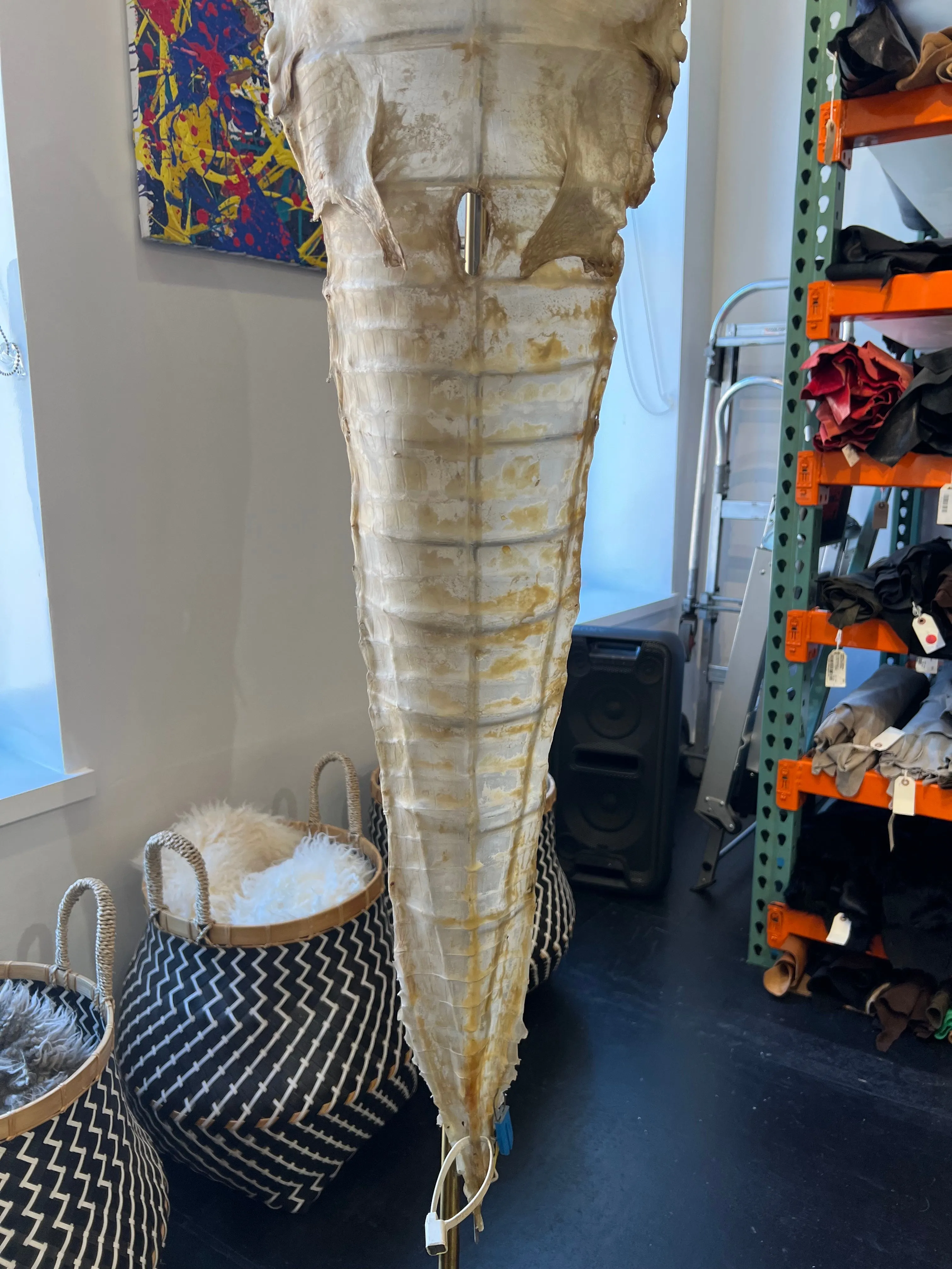 ALLIGATOR PARCHMENT
