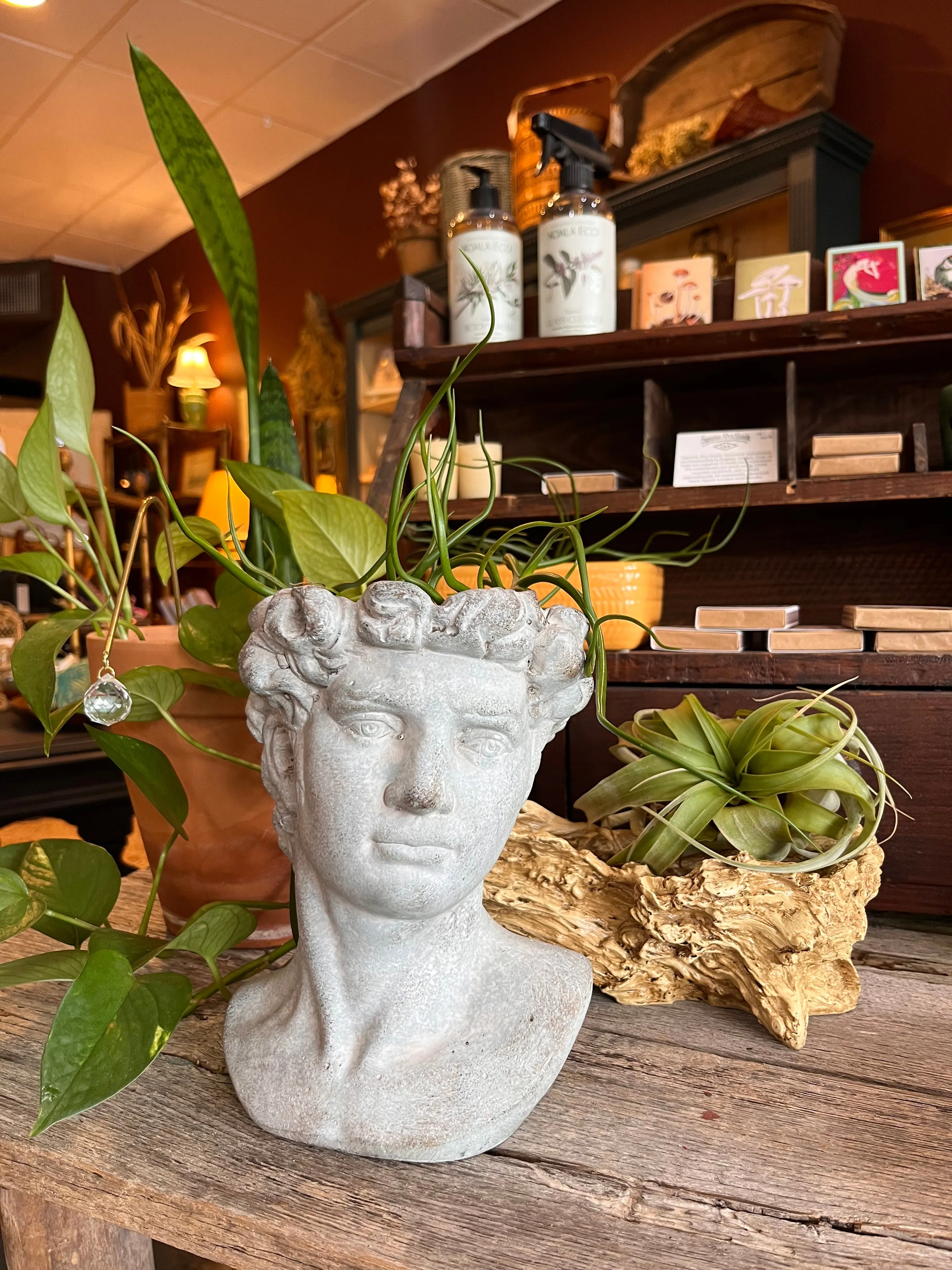 Anthropology Man Scultpure Planter Pot