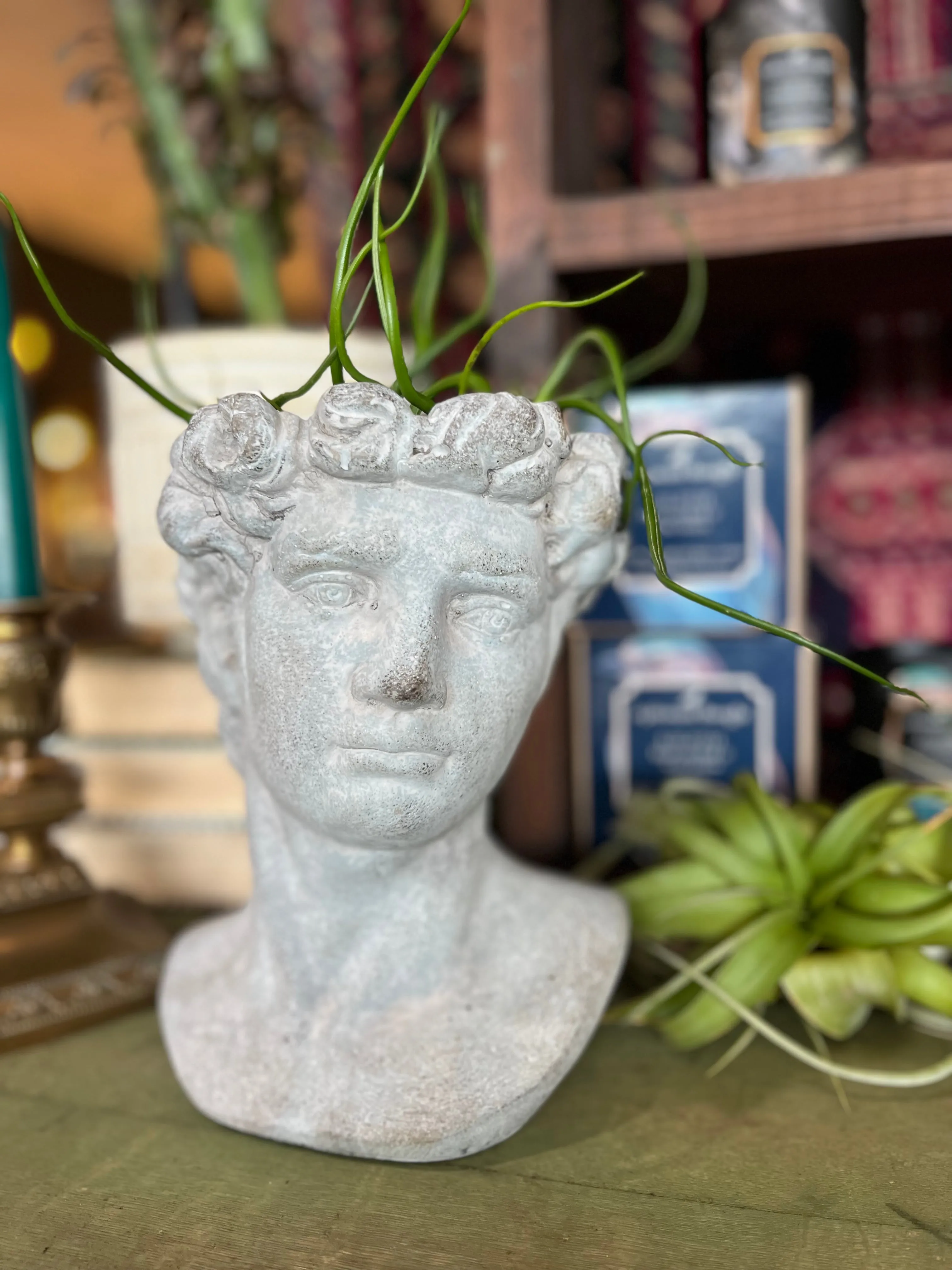 Anthropology Man Scultpure Planter Pot