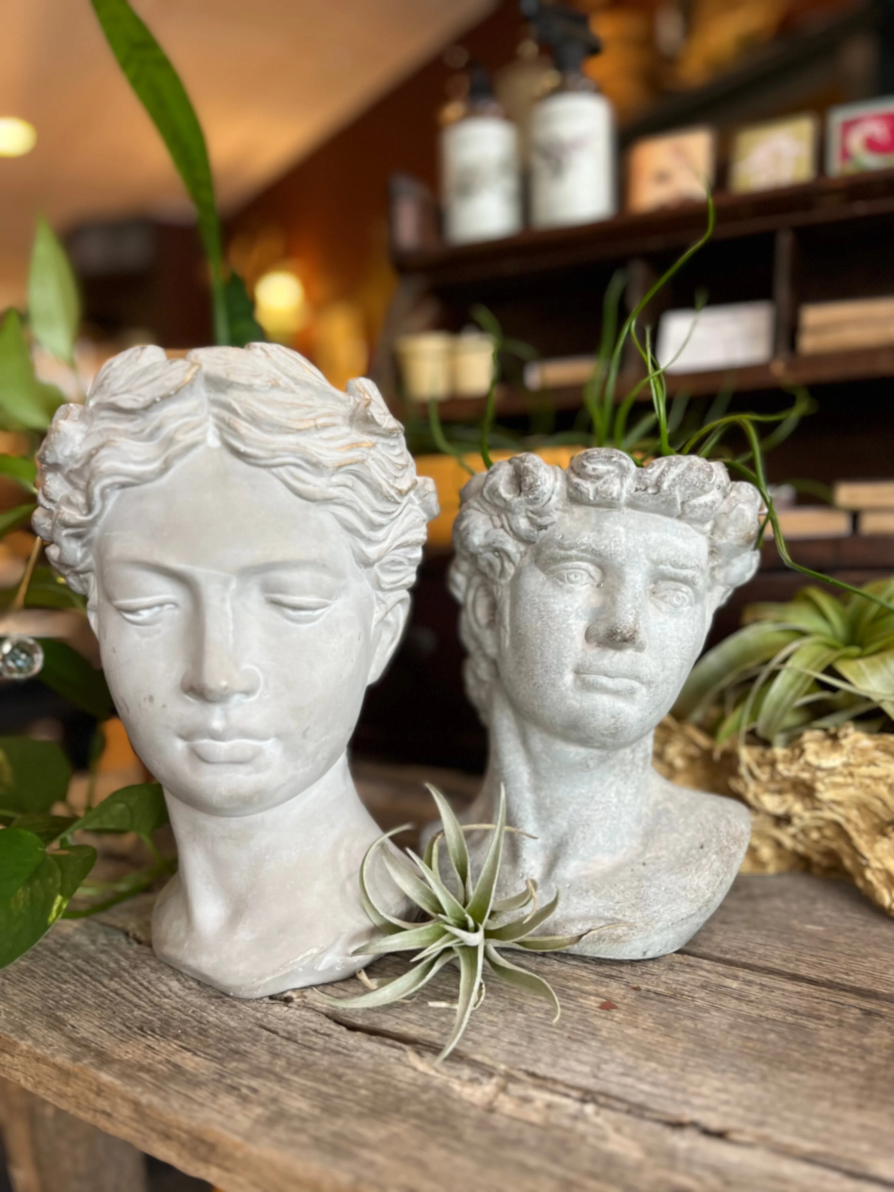 Anthropology Man Scultpure Planter Pot