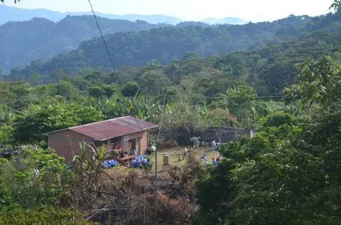 Bolivia Microlot: Pablo Yana (San Ignacio). Available only at the Annex (CA) & Salisbury (MA). Past Crop. NEW LOWER PRICE!