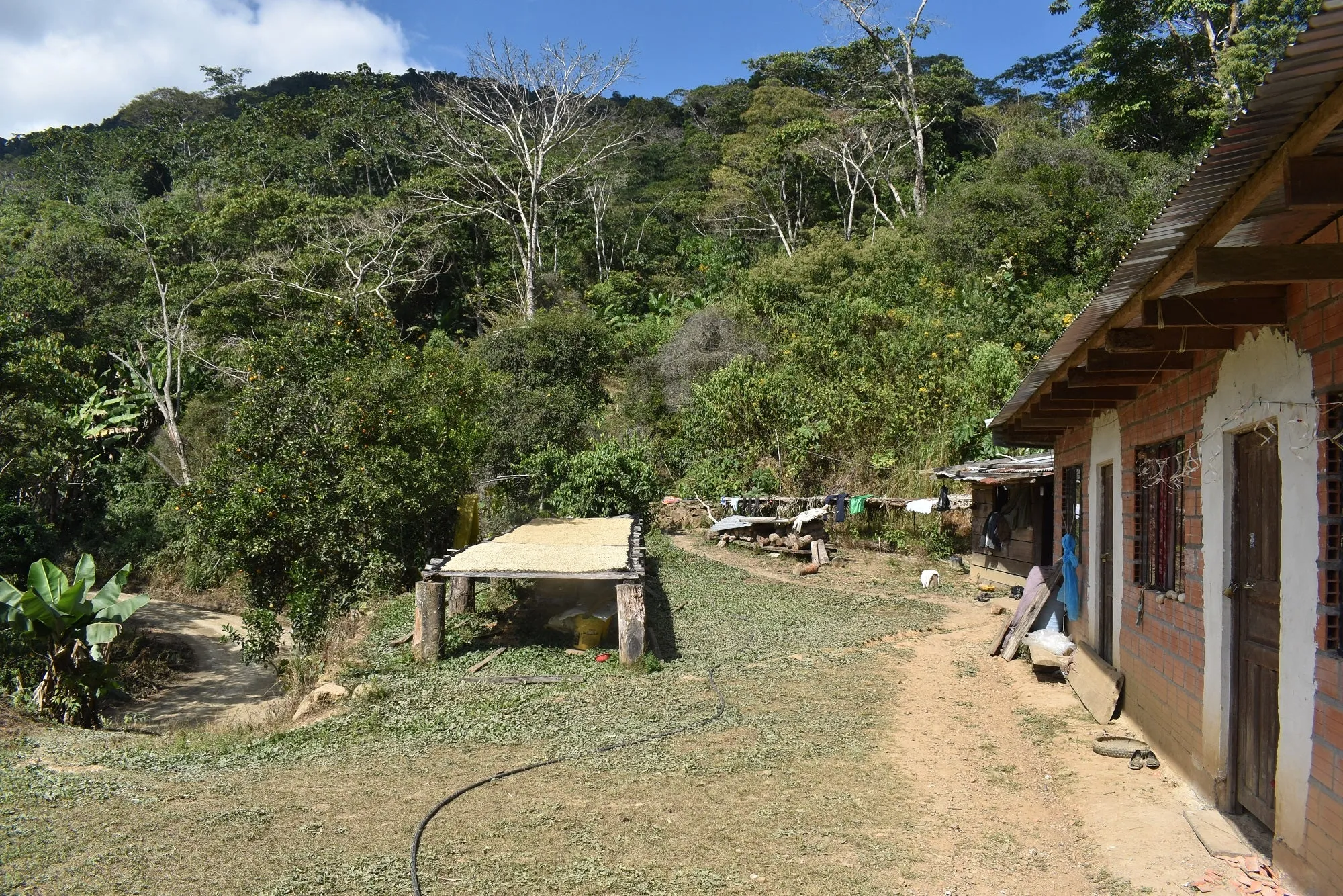 Bolivia Microlot: Porfilio Mamani -San Ignacio. Available at Continental (NJ) & Salisbury, MA.