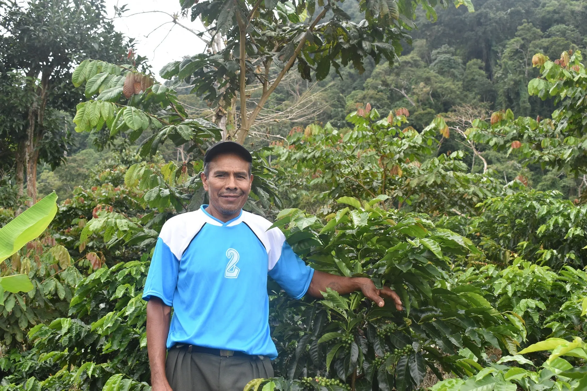 Bolivia Microlot: Porfilio Mamani -San Ignacio. Available at Continental (NJ) & Salisbury, MA.