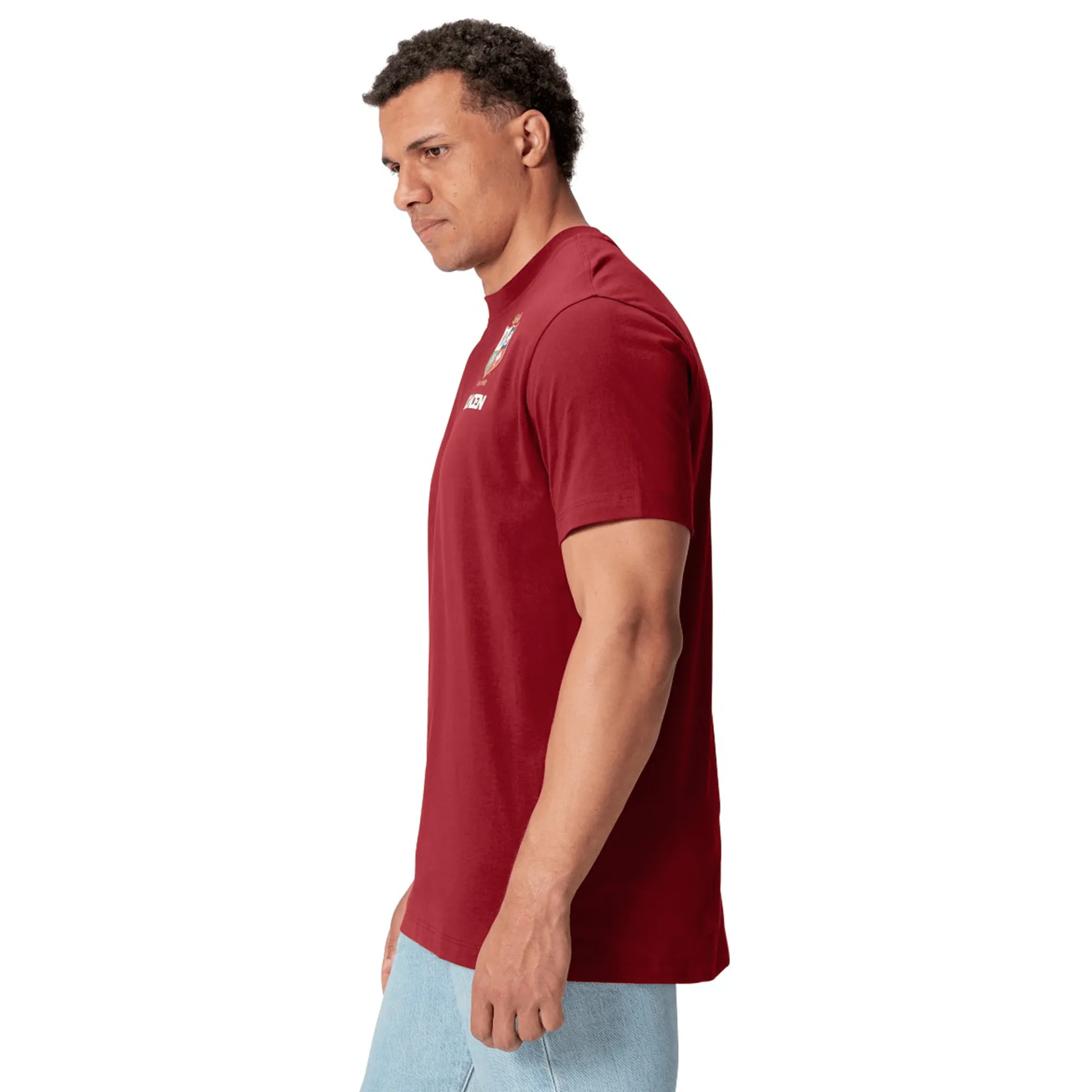 British & Irish Lions 2025 Cotton Jersey Tee by Canterbury