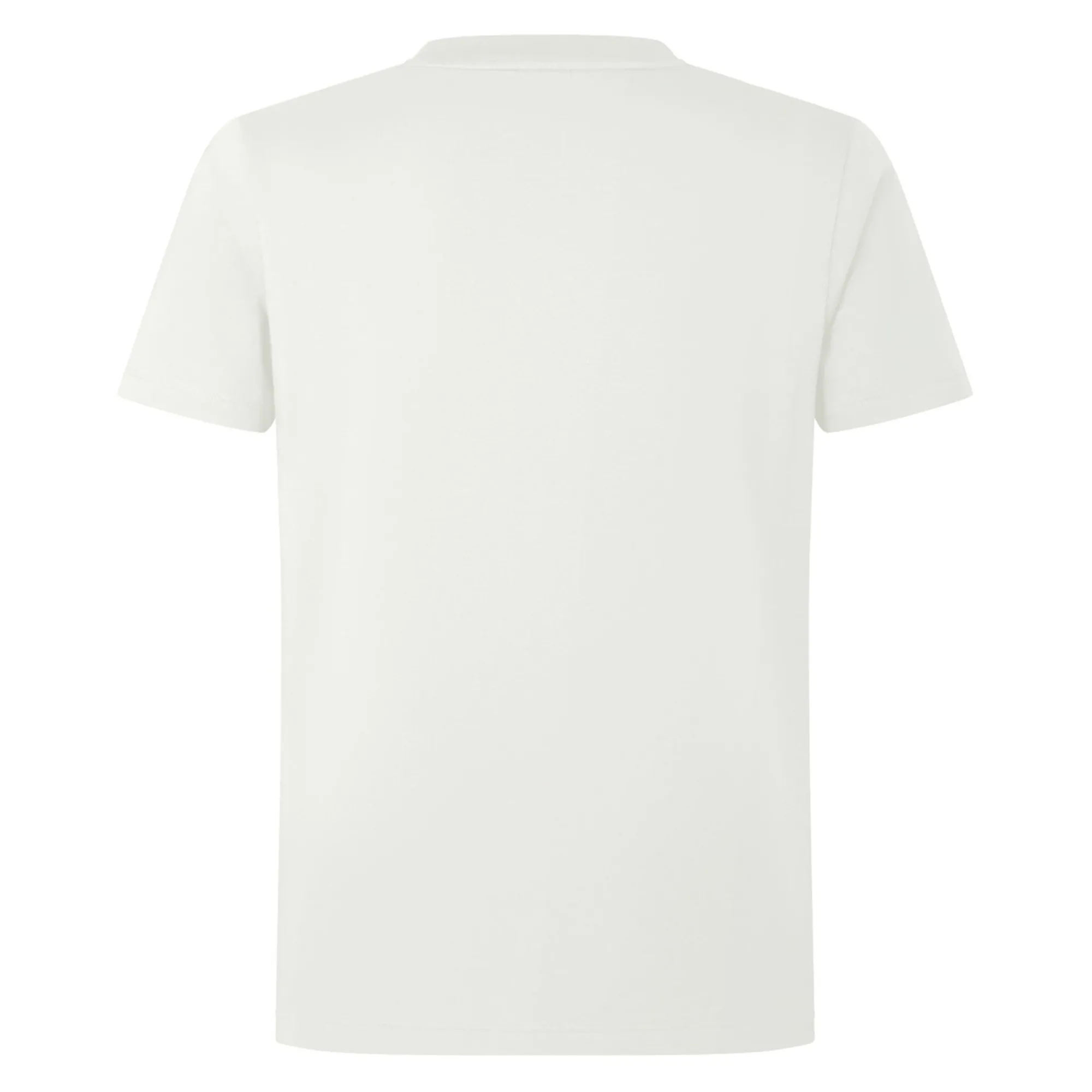 British & Irish Lions 2025 Cotton Jersey Tee by Canterbury