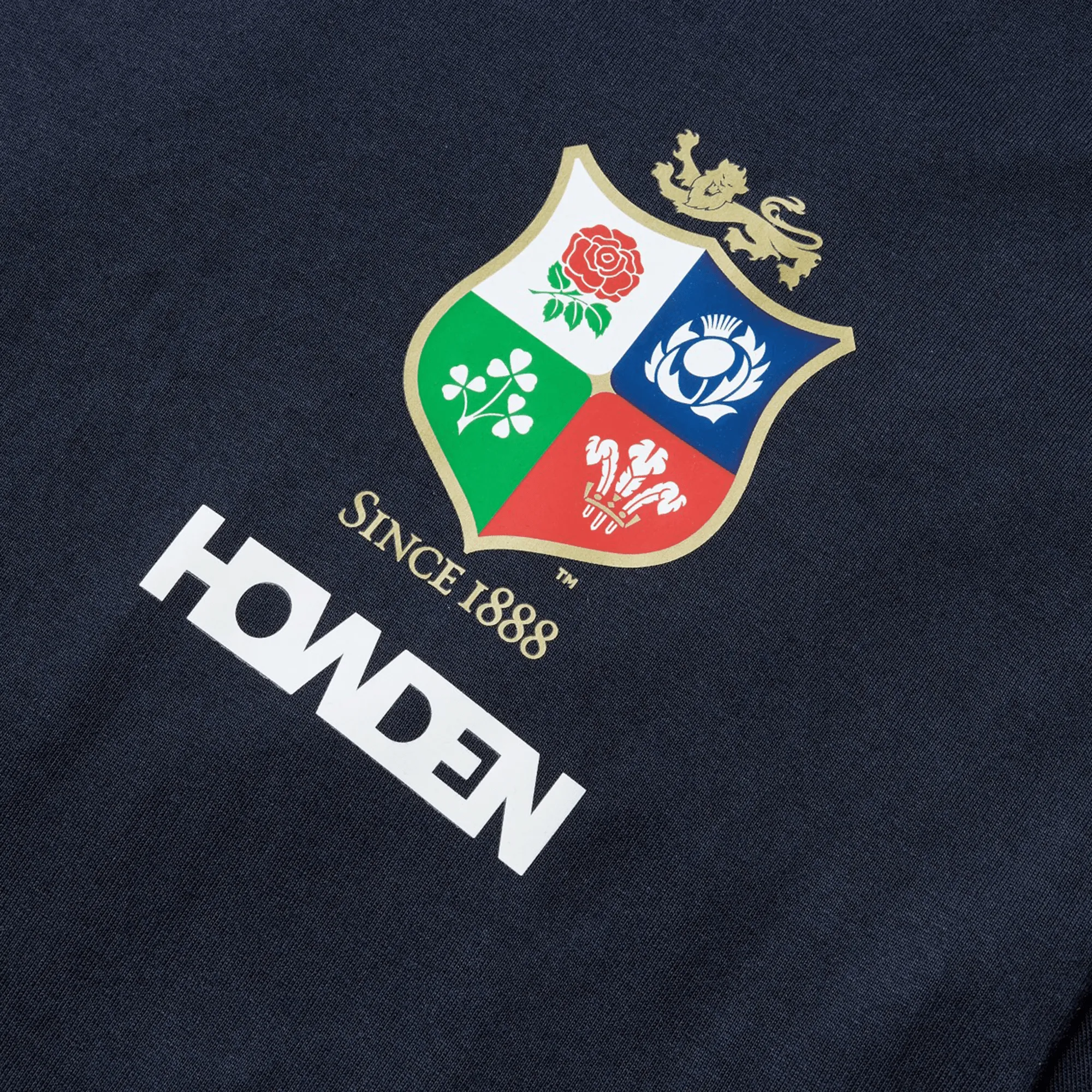 British & Irish Lions 2025 Cotton Jersey Tee by Canterbury