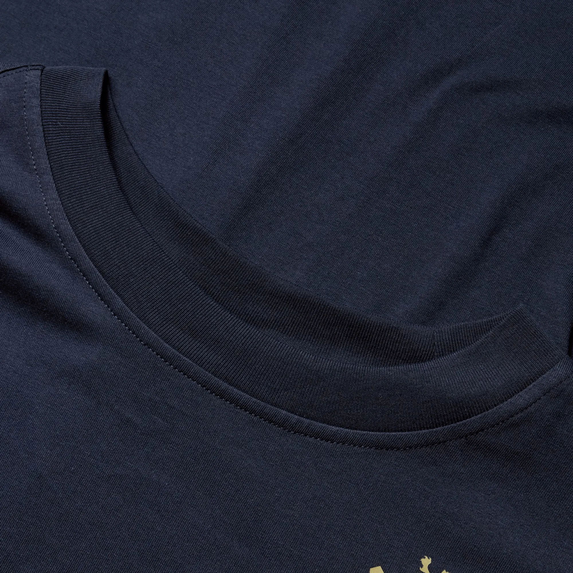 British & Irish Lions 2025 Cotton Jersey Tee by Canterbury
