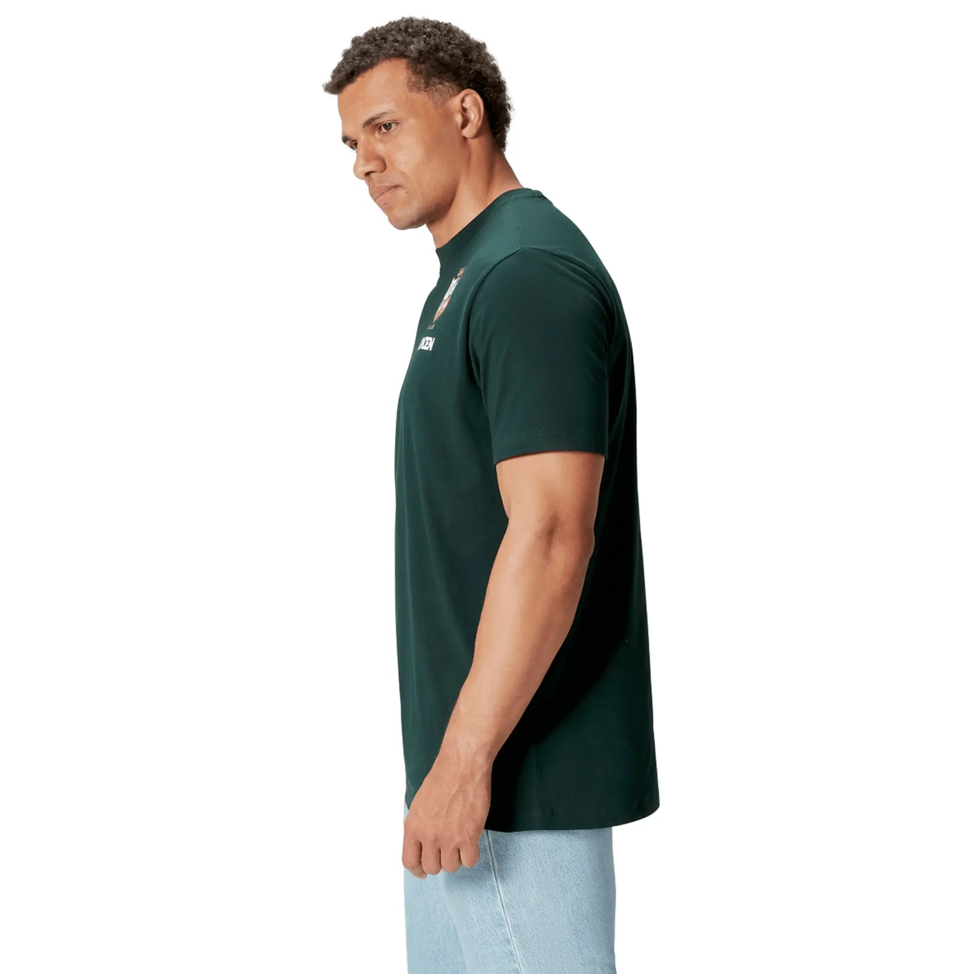 British & Irish Lions 2025 Cotton Jersey Tee by Canterbury