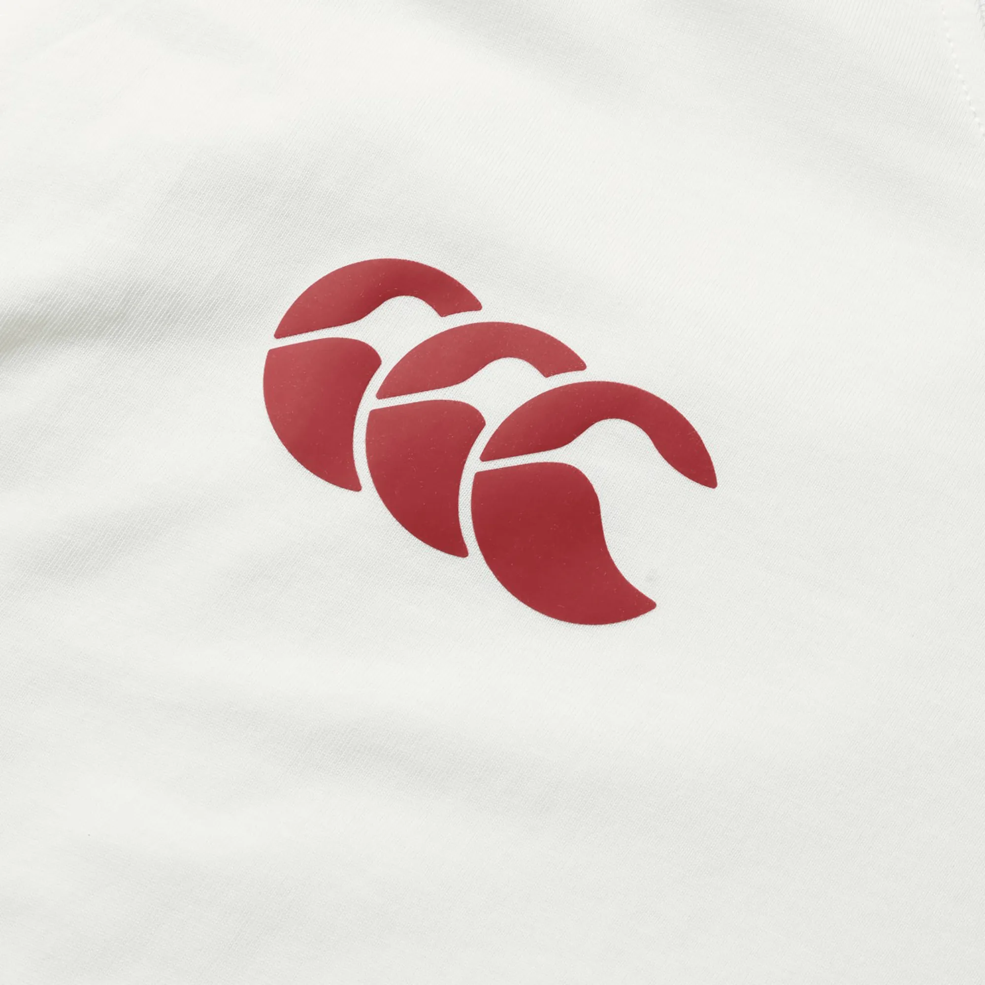 British & Irish Lions 2025 Cotton Jersey Tee by Canterbury
