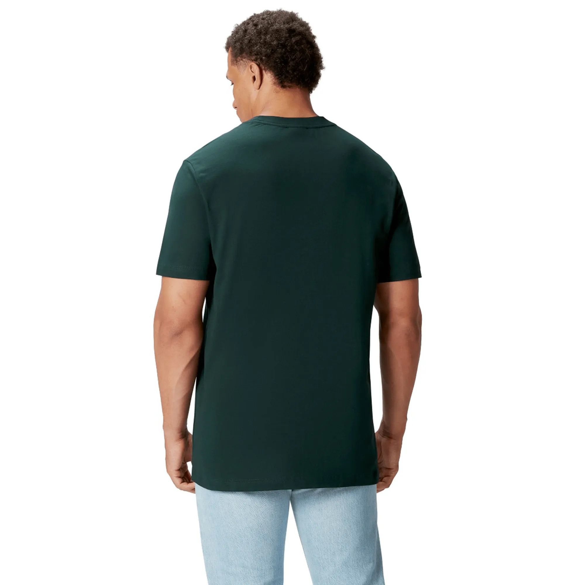 British & Irish Lions 2025 Cotton Jersey Tee by Canterbury