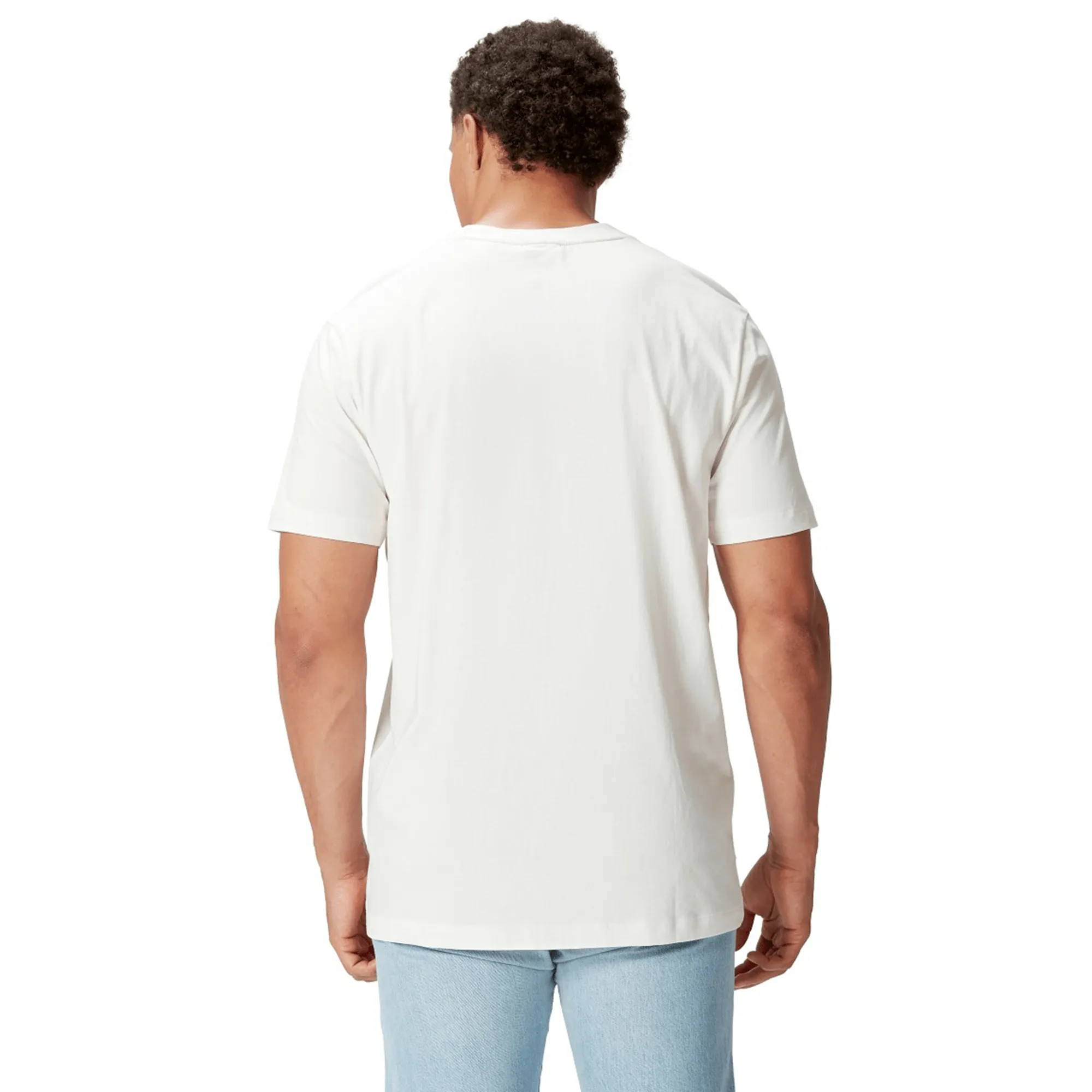 British & Irish Lions 2025 Cotton Jersey Tee by Canterbury