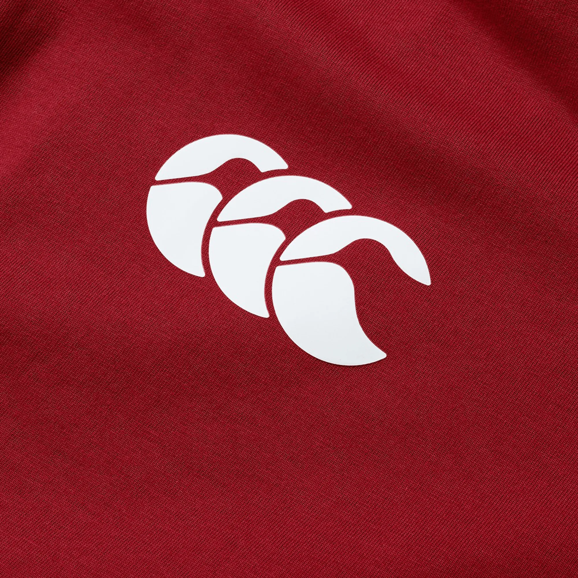 British & Irish Lions 2025 Cotton Jersey Tee by Canterbury