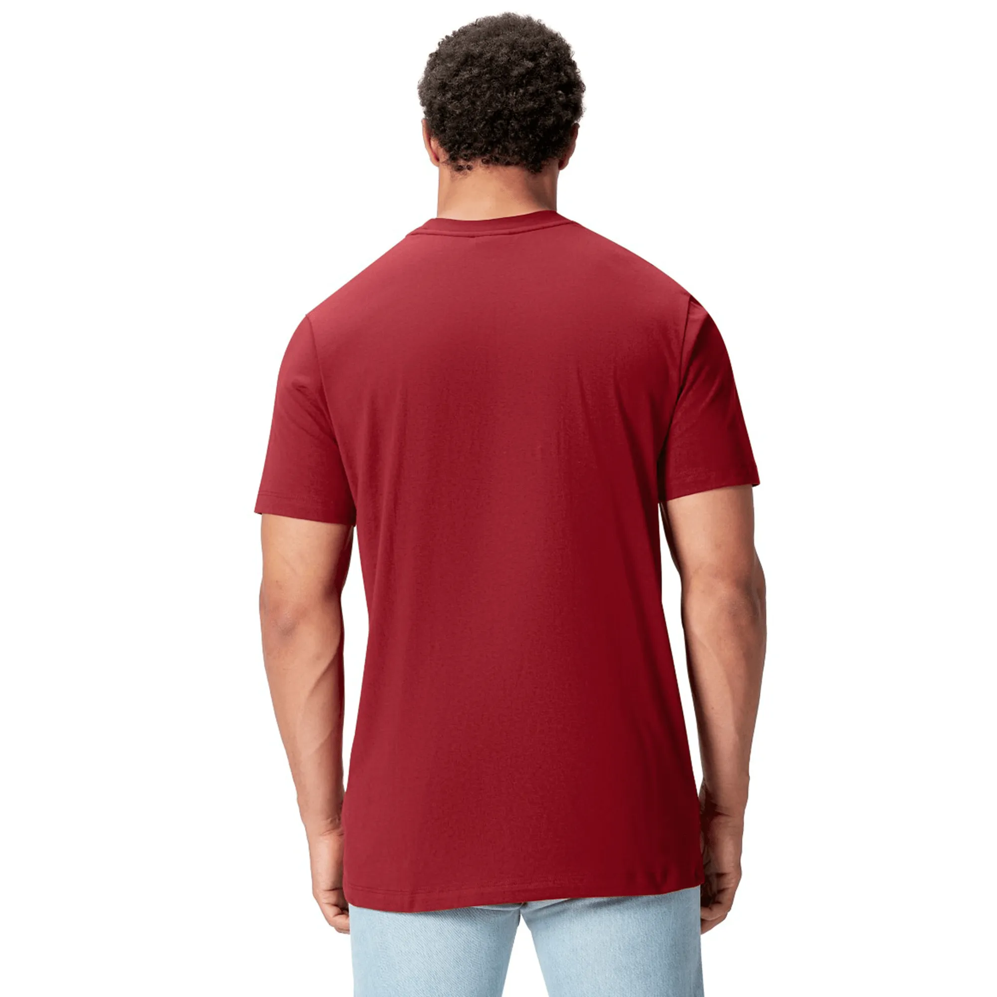 British & Irish Lions 2025 Cotton Jersey Tee by Canterbury