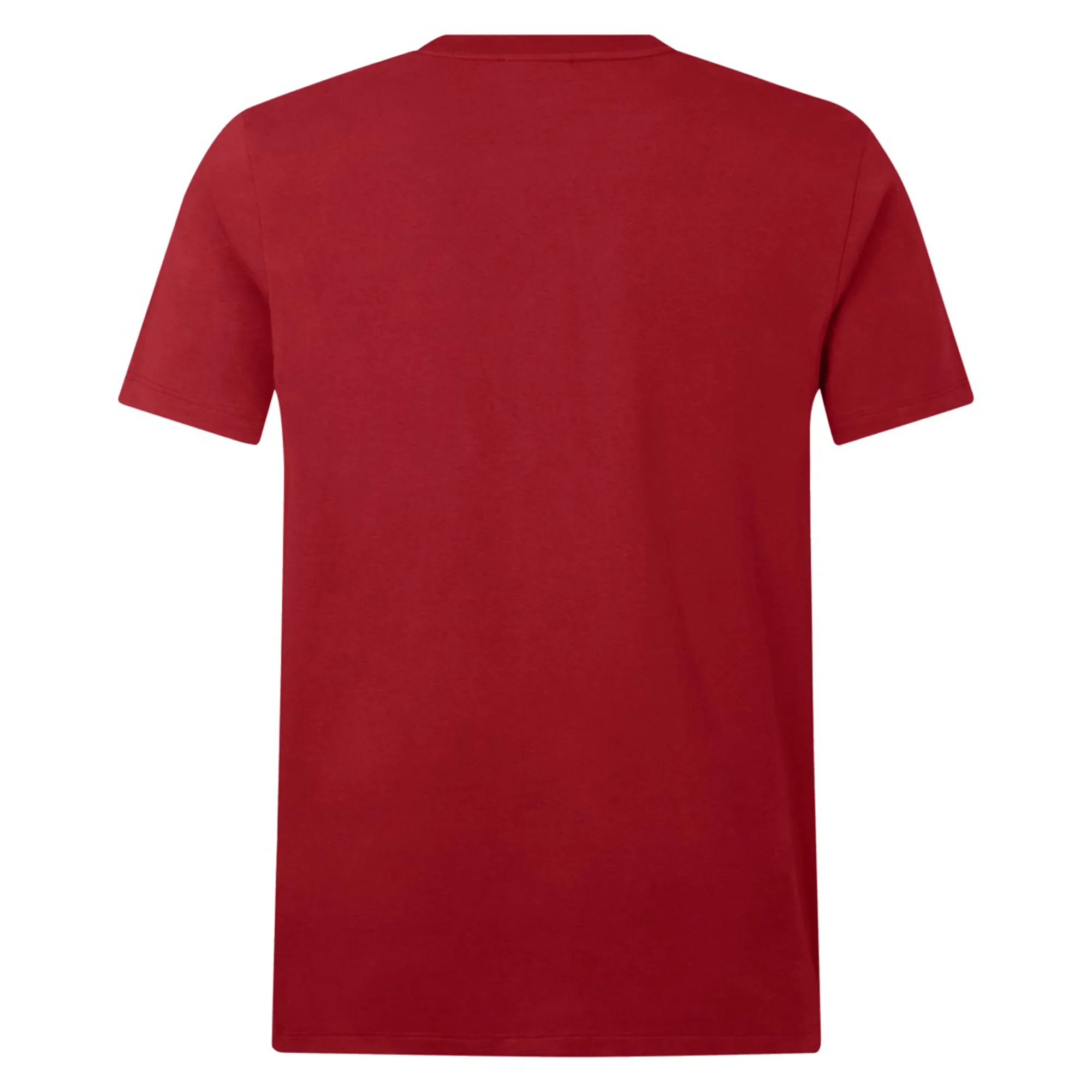 British & Irish Lions 2025 Cotton Jersey Tee by Canterbury
