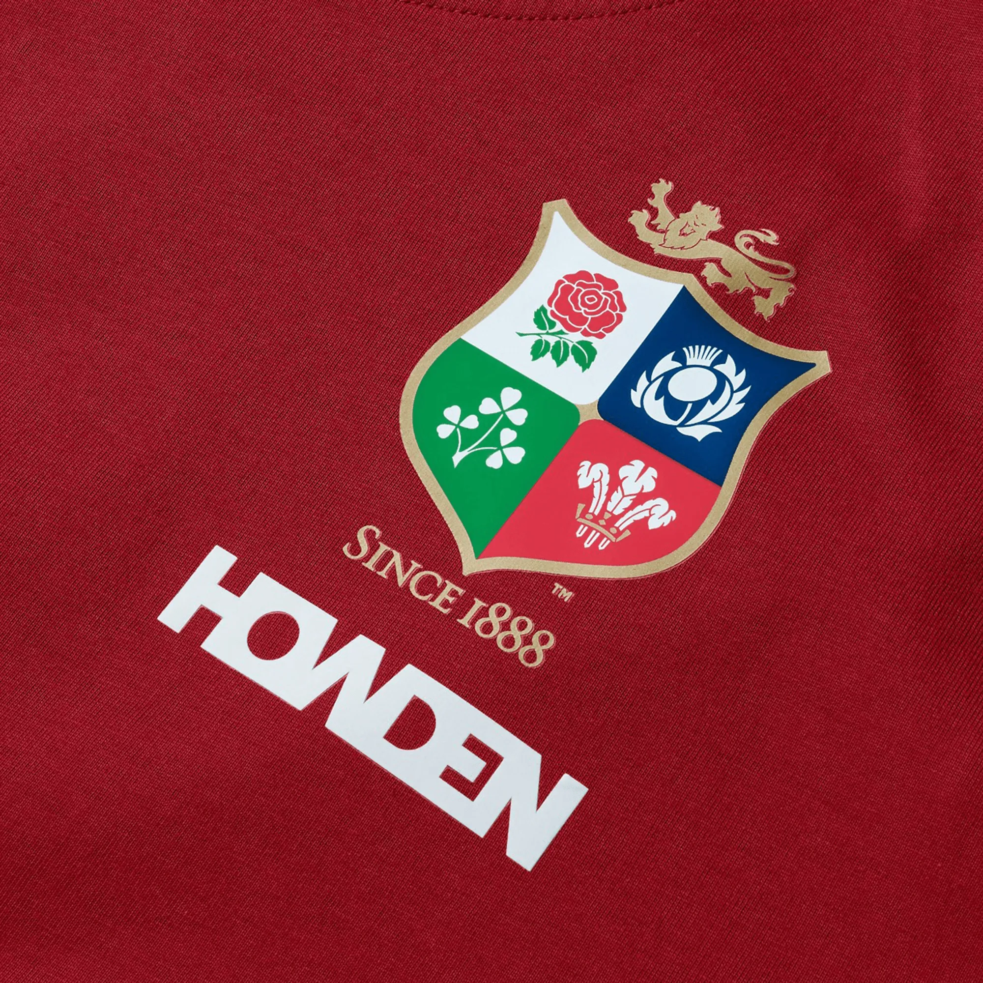British & Irish Lions 2025 Cotton Jersey Tee by Canterbury