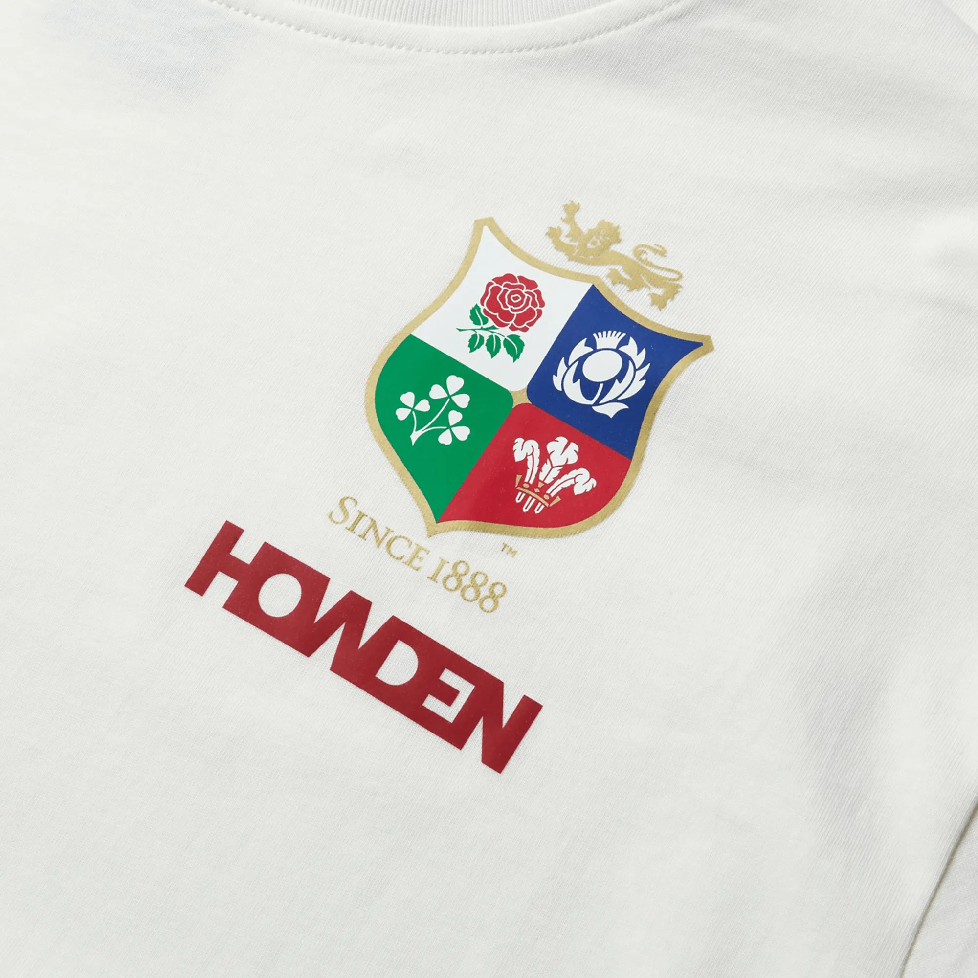 British & Irish Lions 2025 Cotton Jersey Tee by Canterbury