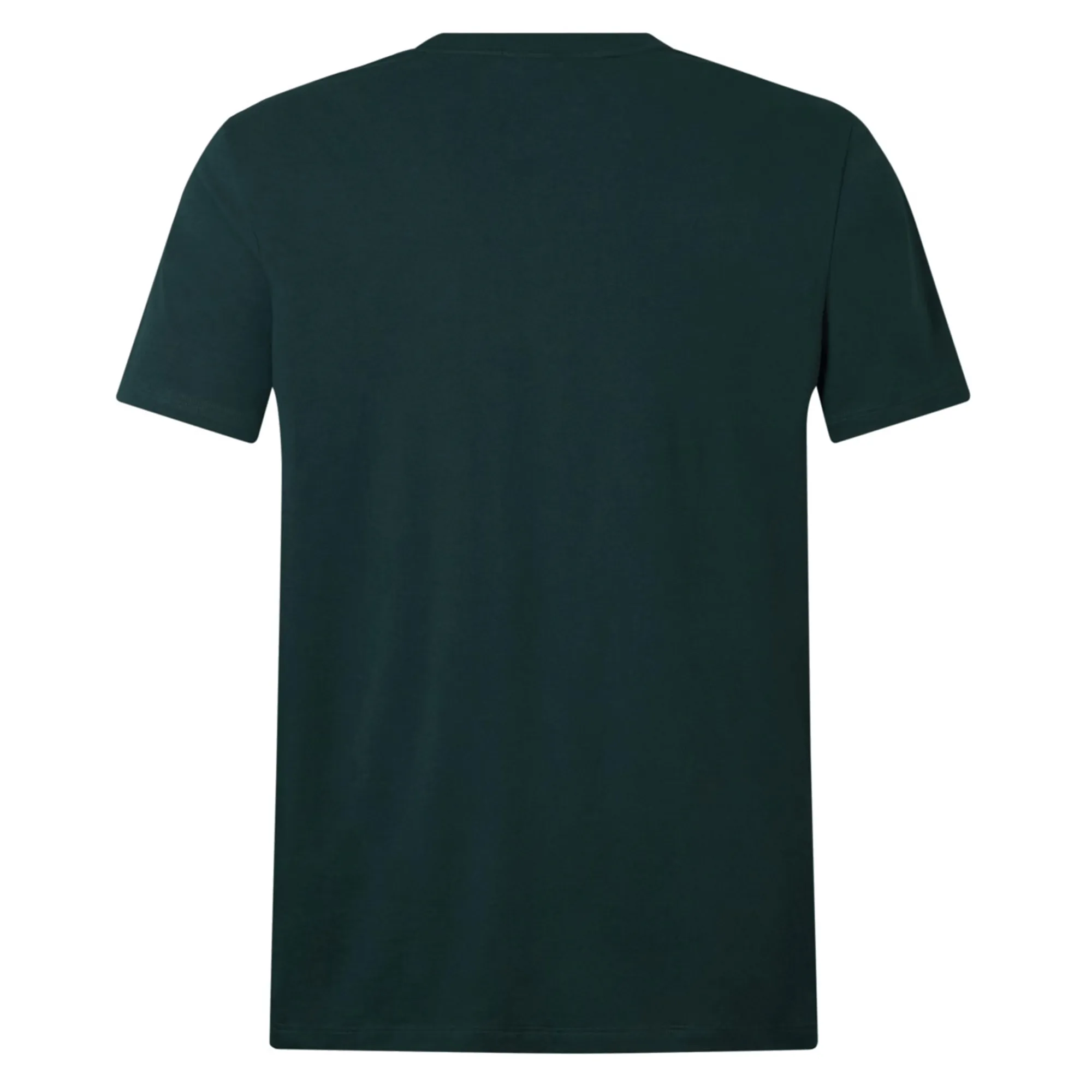 British & Irish Lions 2025 Cotton Jersey Tee by Canterbury