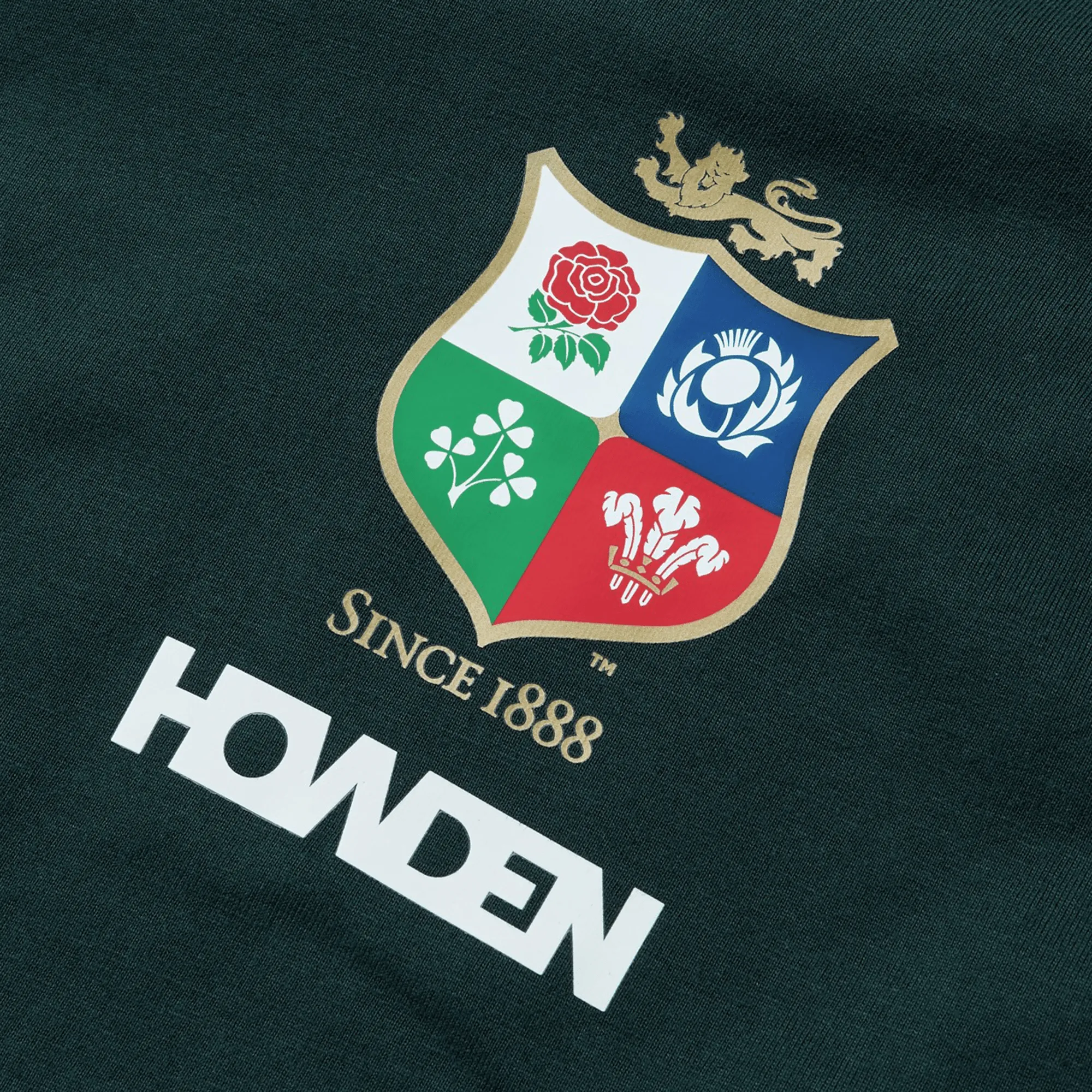 British & Irish Lions 2025 Cotton Jersey Tee by Canterbury