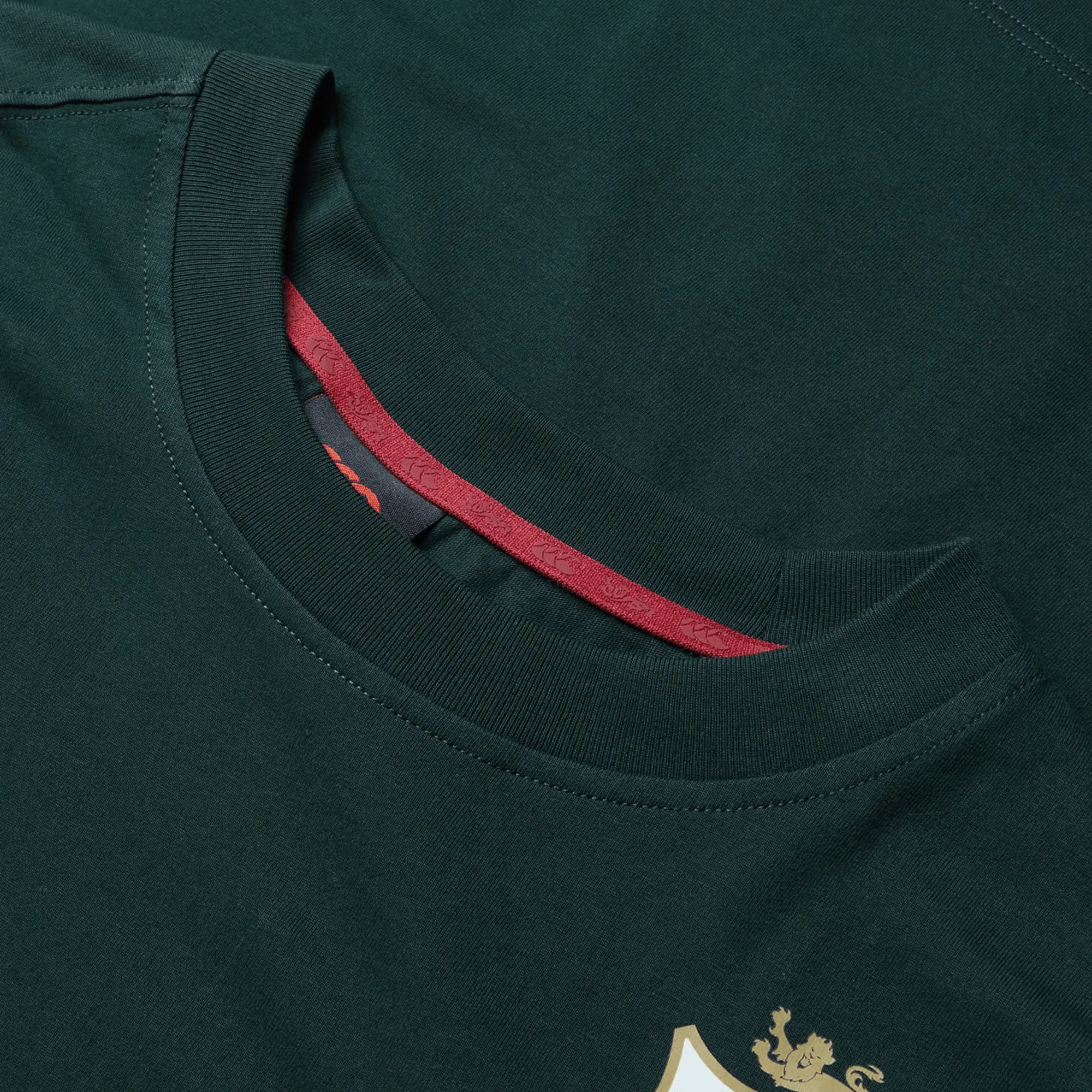 British & Irish Lions 2025 Cotton Jersey Tee by Canterbury