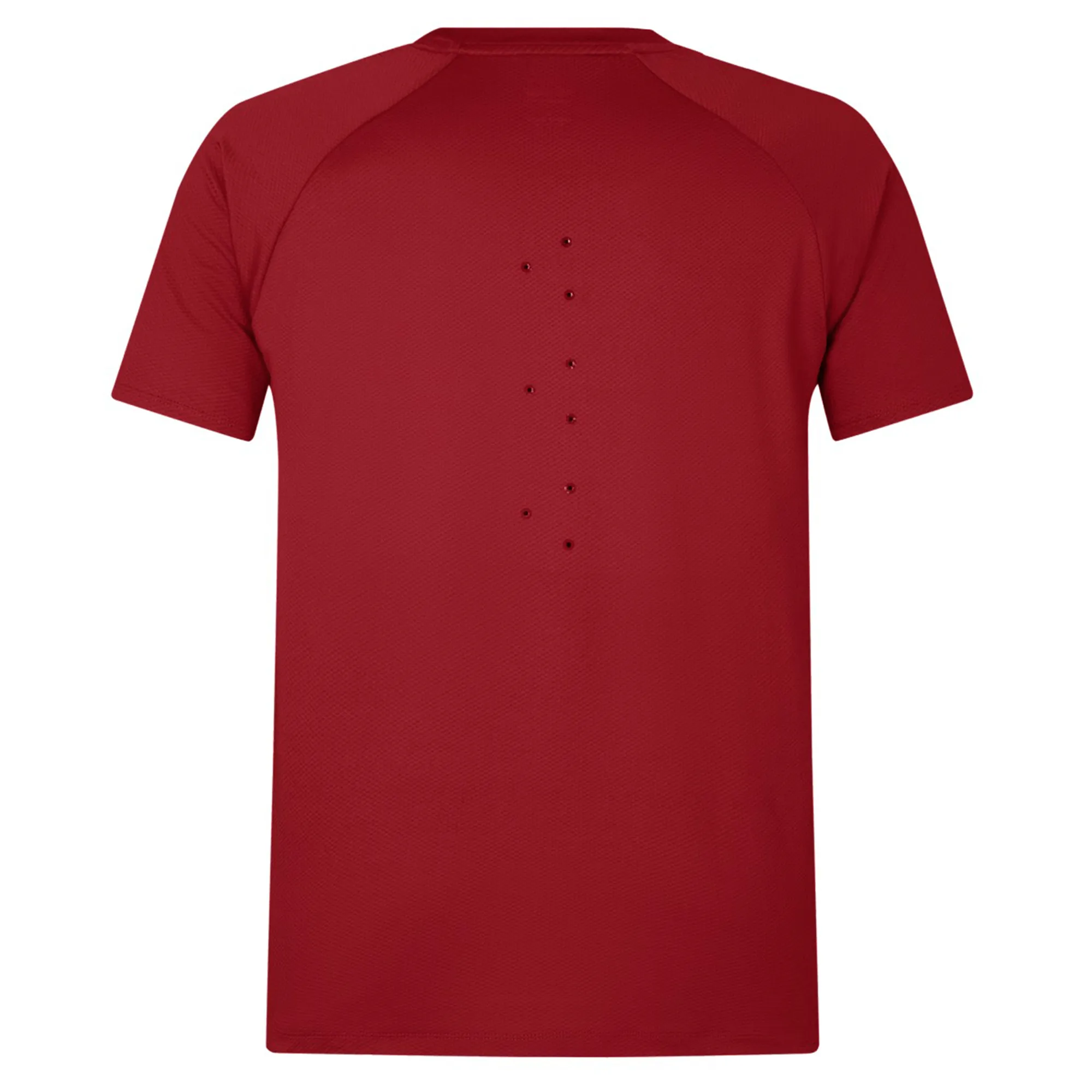 British & Irish Lions 25 Everest Tee by Canterbury