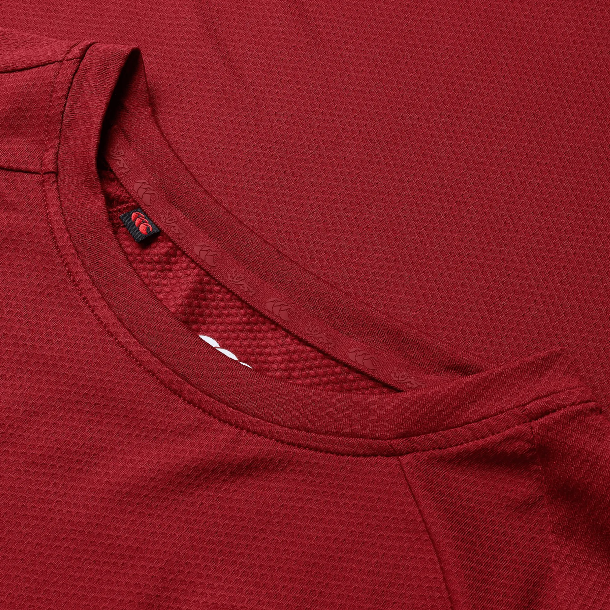 British & Irish Lions 25 Everest Tee by Canterbury