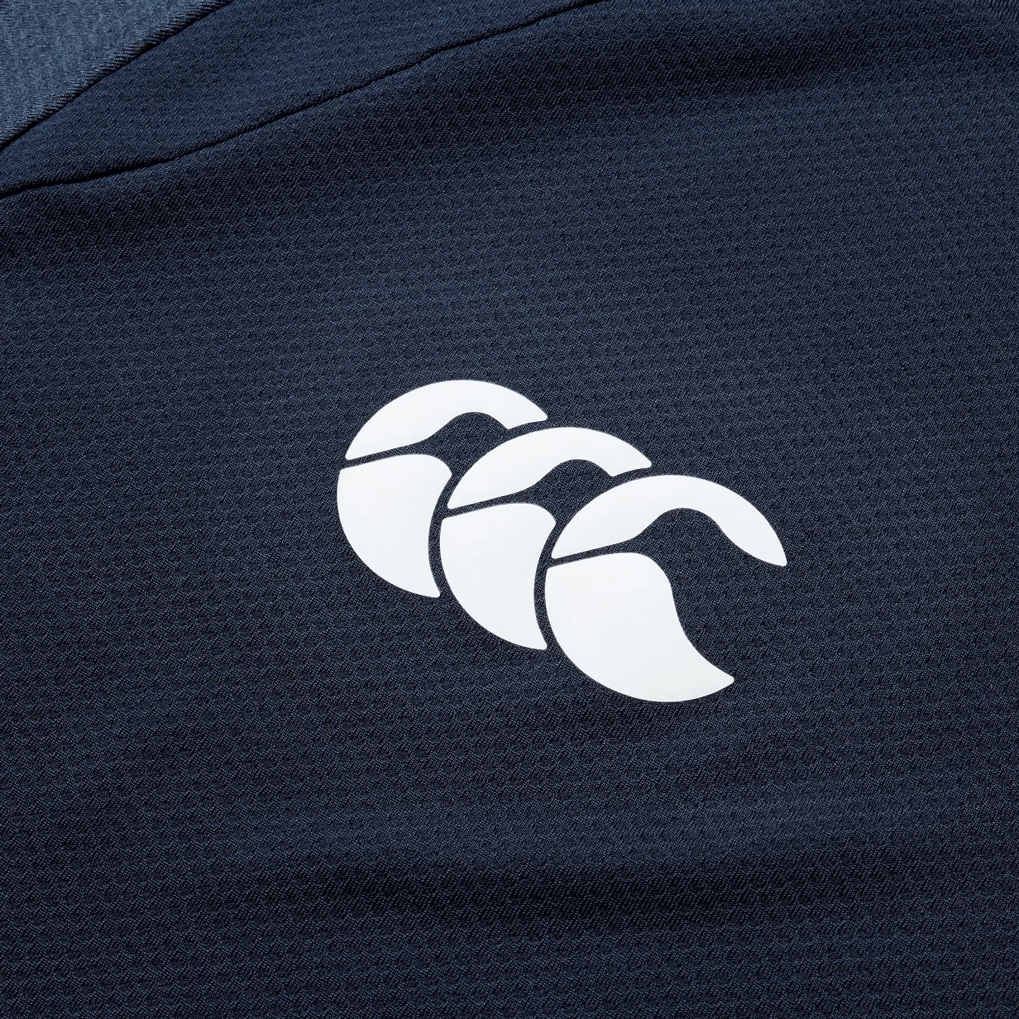 British & Irish Lions 25 Everest Tee by Canterbury