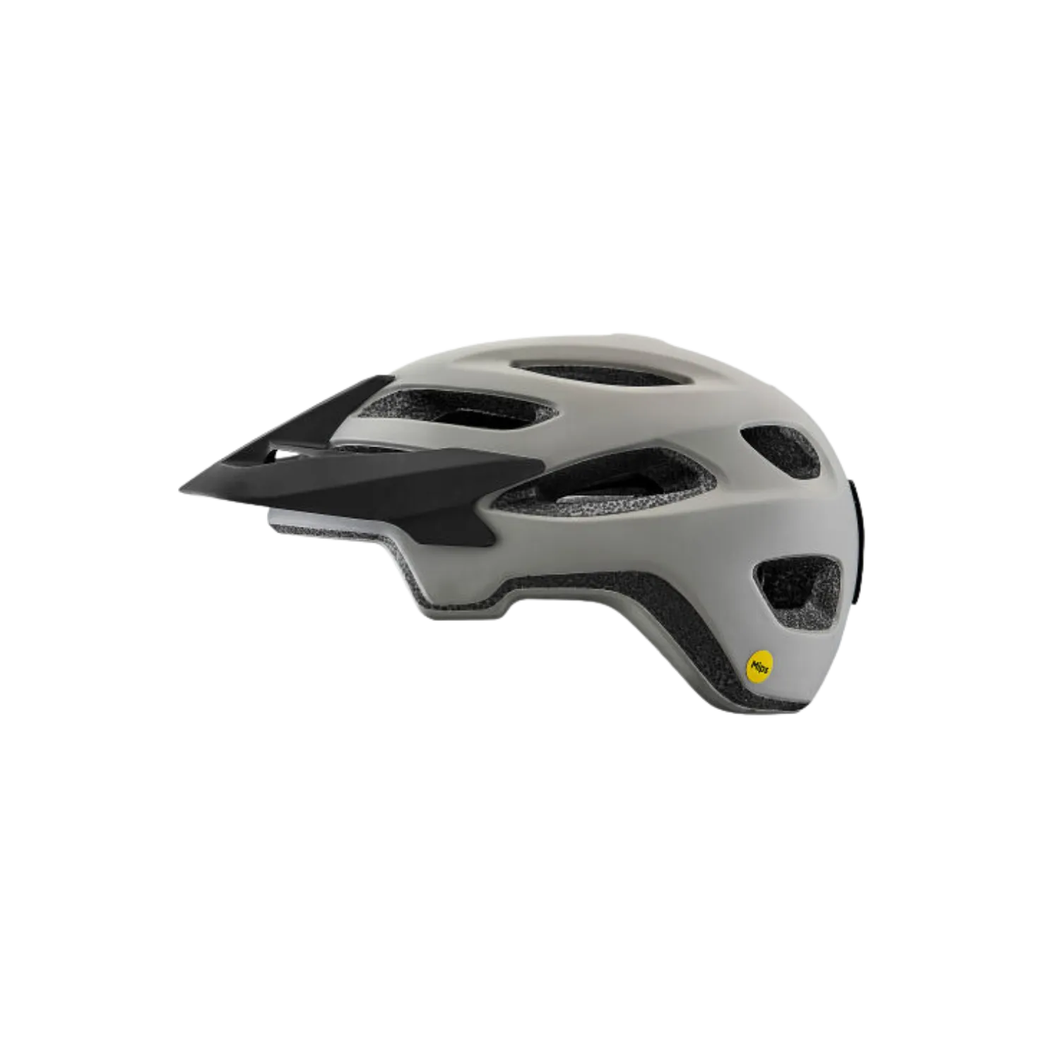 Giant Roost Mips Helmet - Matte Concrete