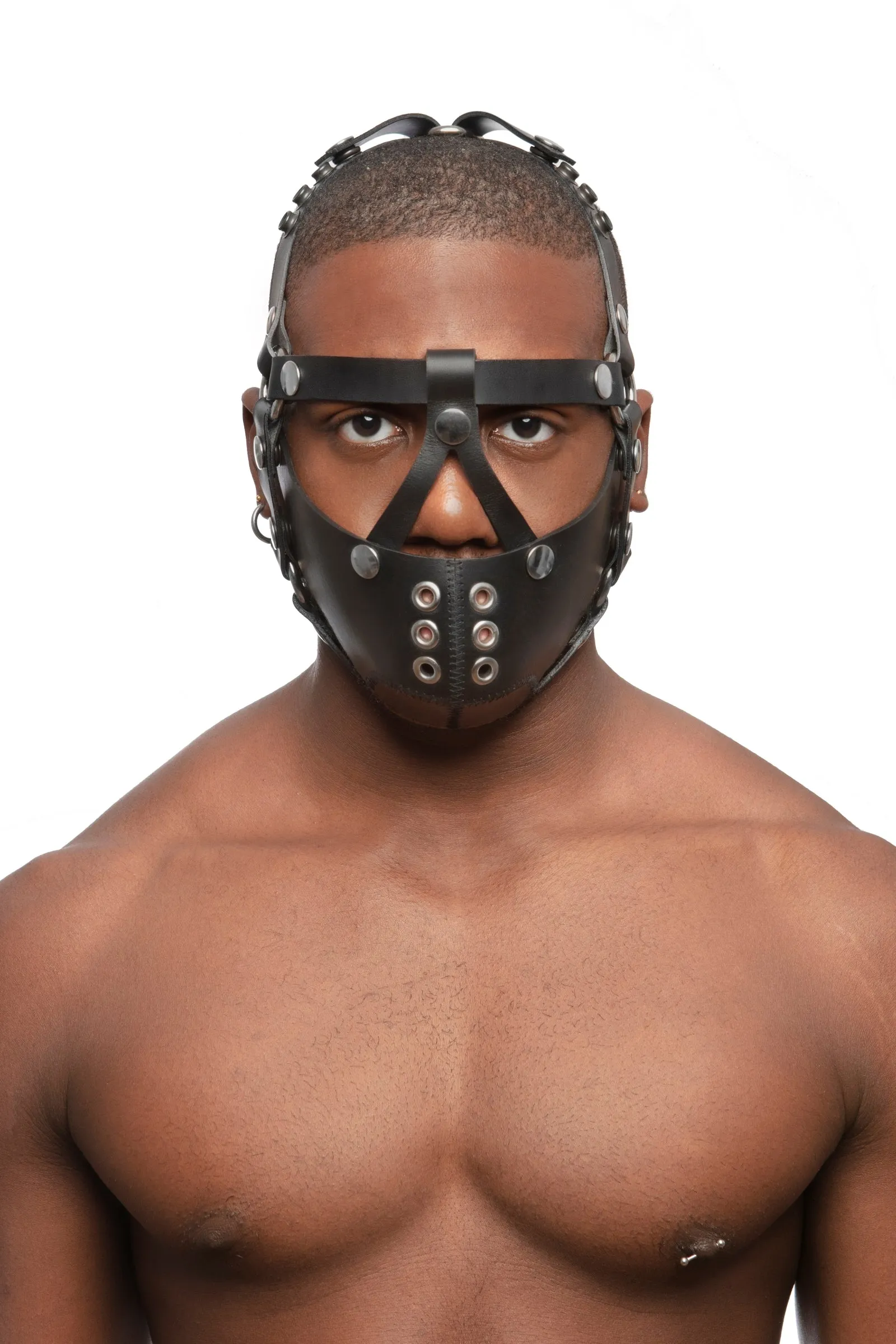 HEAD HARNESS MUZZLE - Stainless Steel