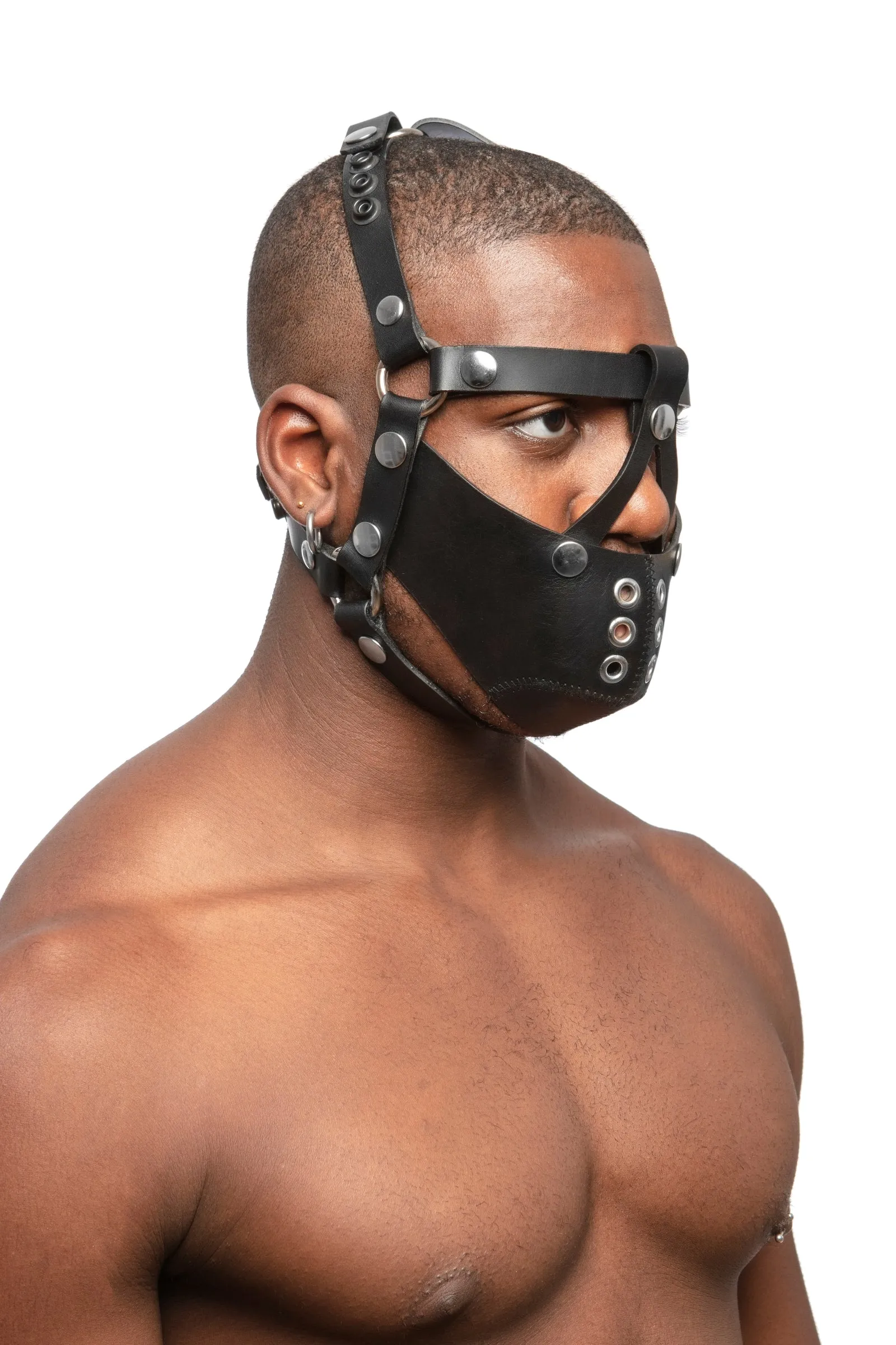 HEAD HARNESS MUZZLE - Stainless Steel
