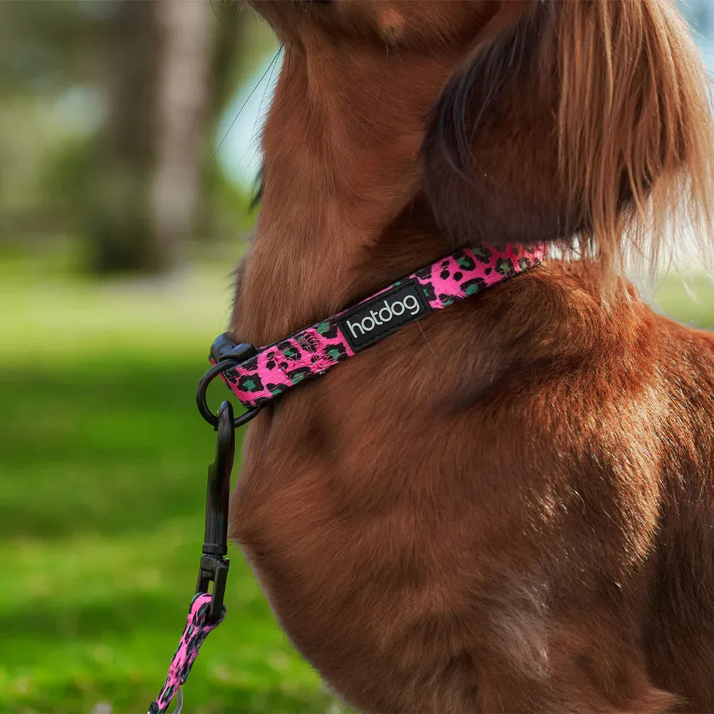 Hot Dog Collar Pink Ocelet