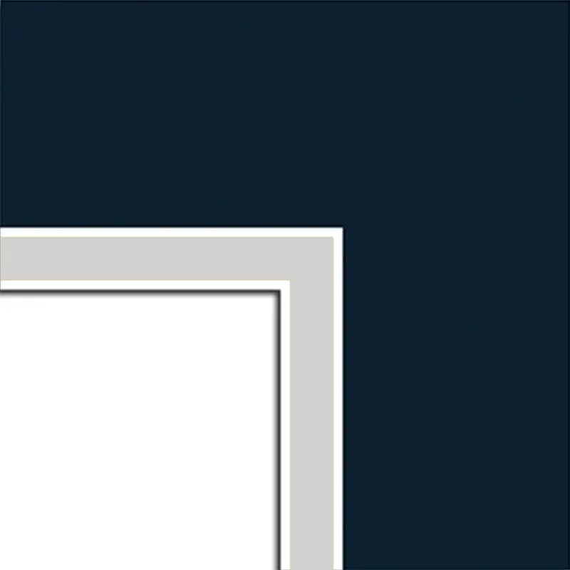 Lion Spirit Encore Penn State Double Diploma Frame