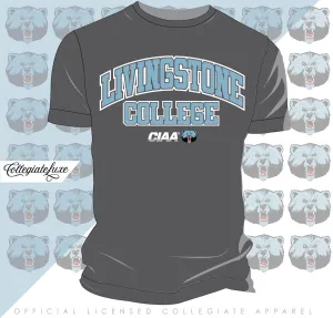 Livingstone | University Arch Gray Unisex Tees (Z)