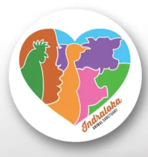 Logo Button