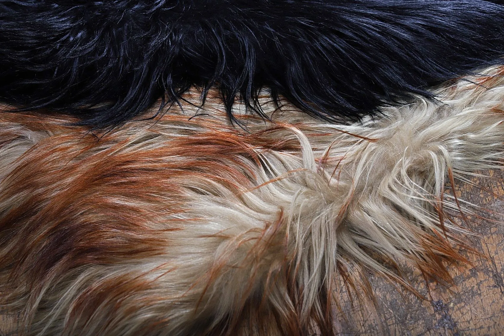 LONG HAIR GOAT PANEL