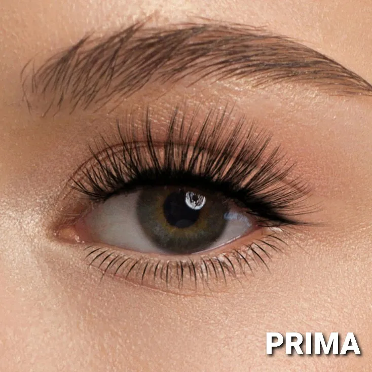 Poppy & Ivy Micro Magnetic Lash & Liner Set (Prima   Zenith)