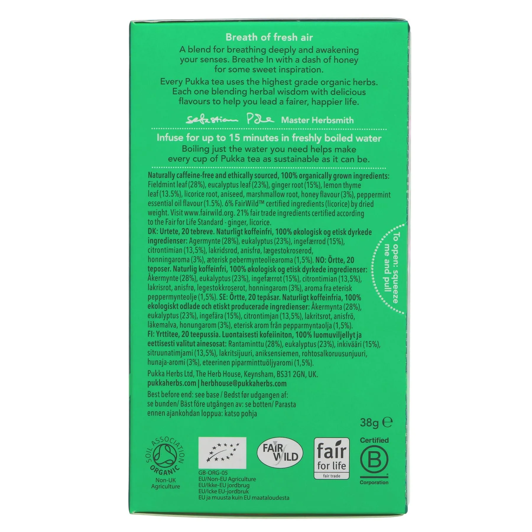 Pukka | Breathe In - Cooling Mint, Ginger and Honey | 20 bags