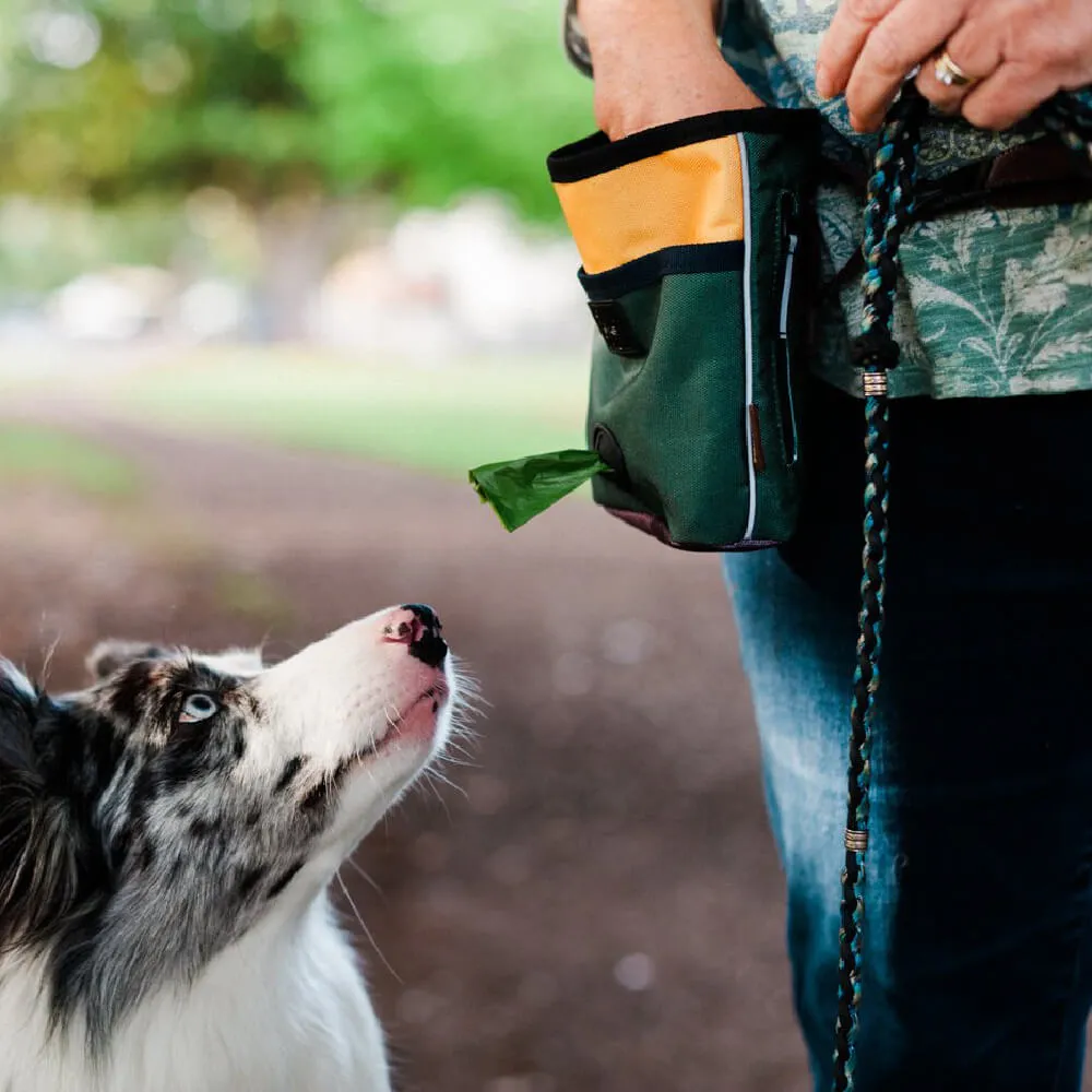 Scout & About Deluxe Training Pouch | Moss
