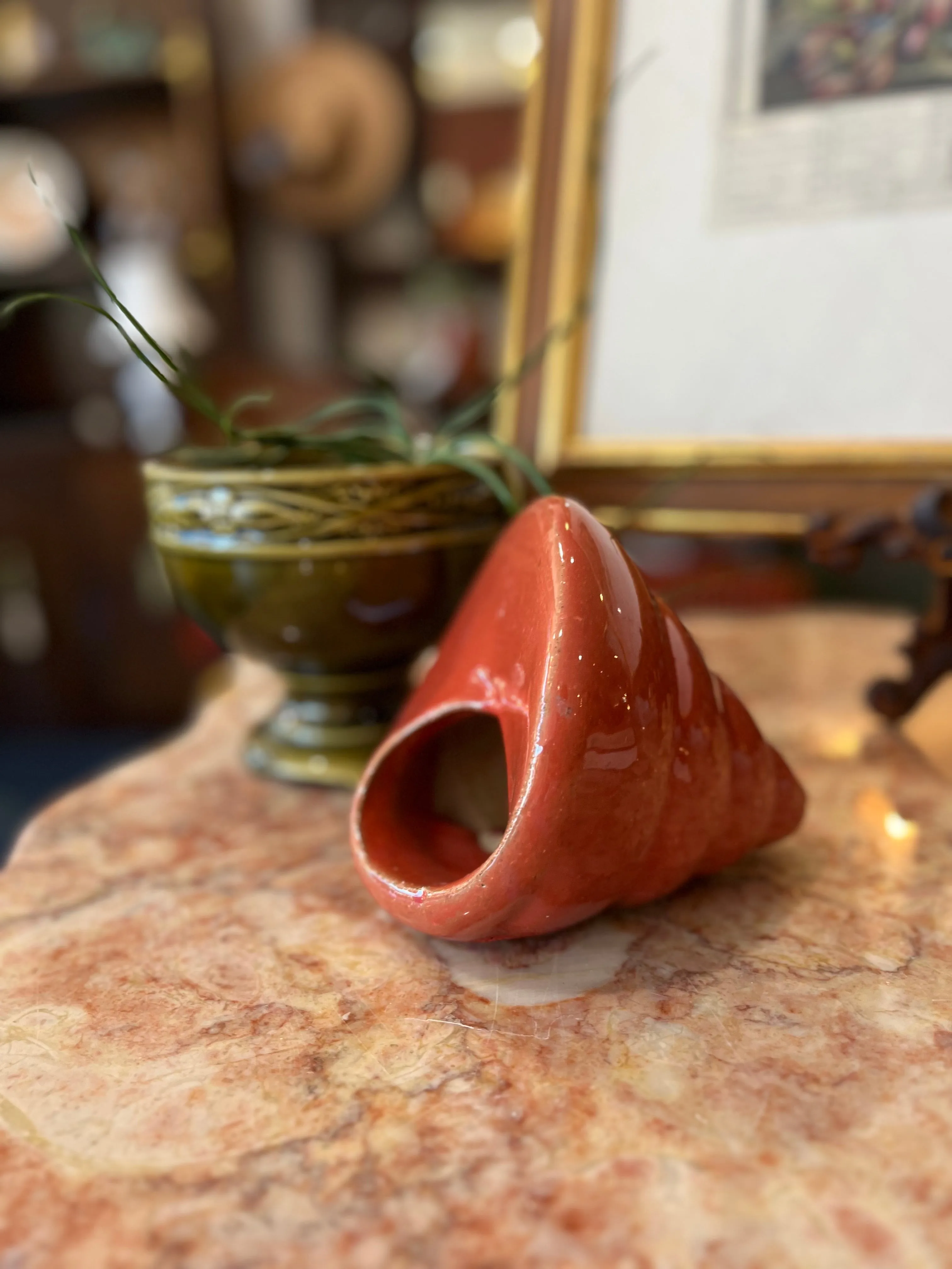 Small Sea Shell planter