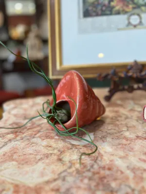 Small Sea Shell planter