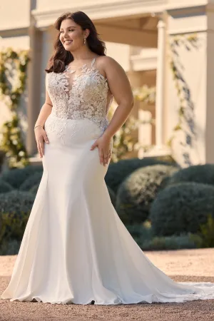 Sophia Tolli: Y3161FIHB - Coral