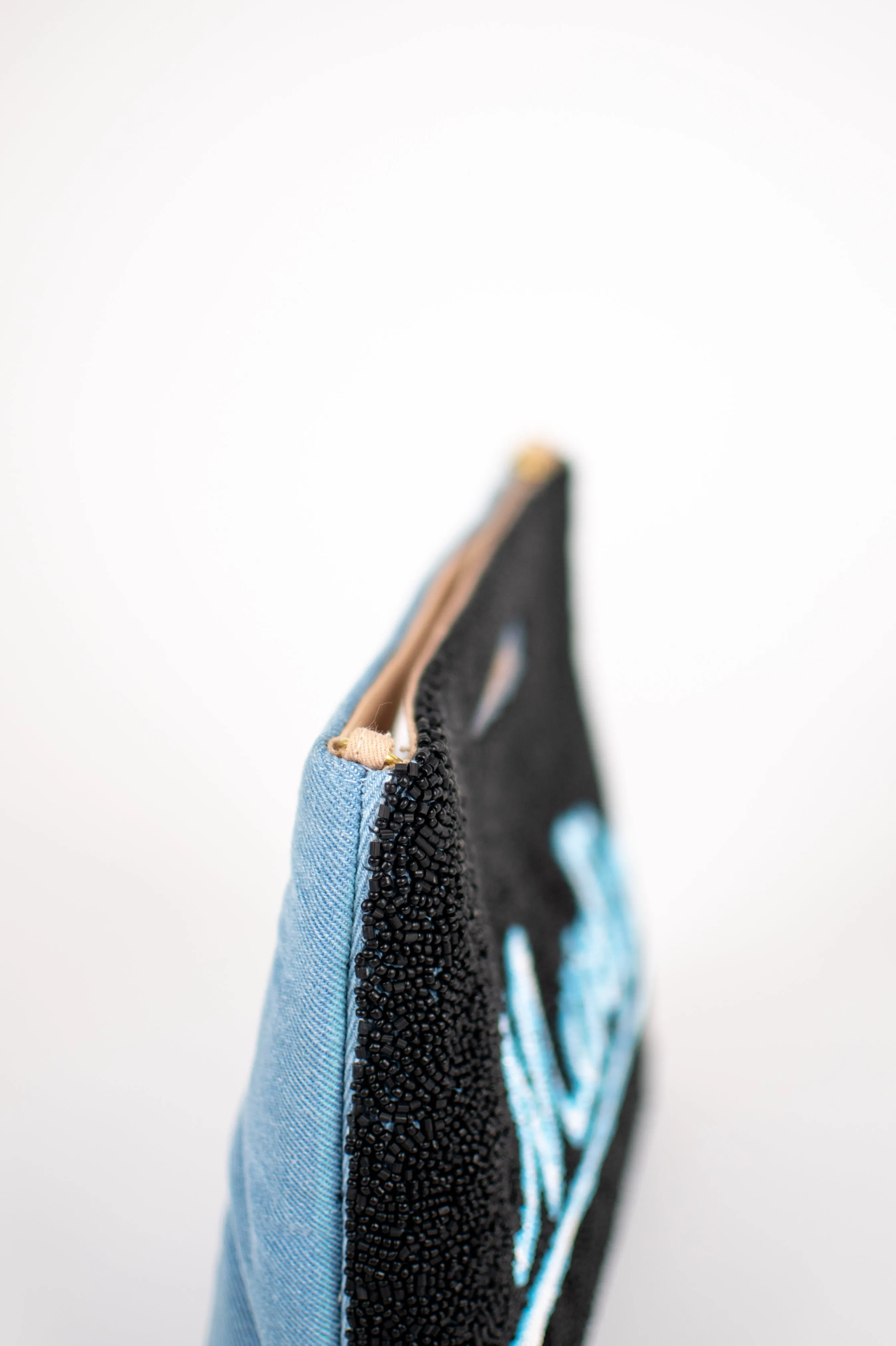 Swoosh Pouch