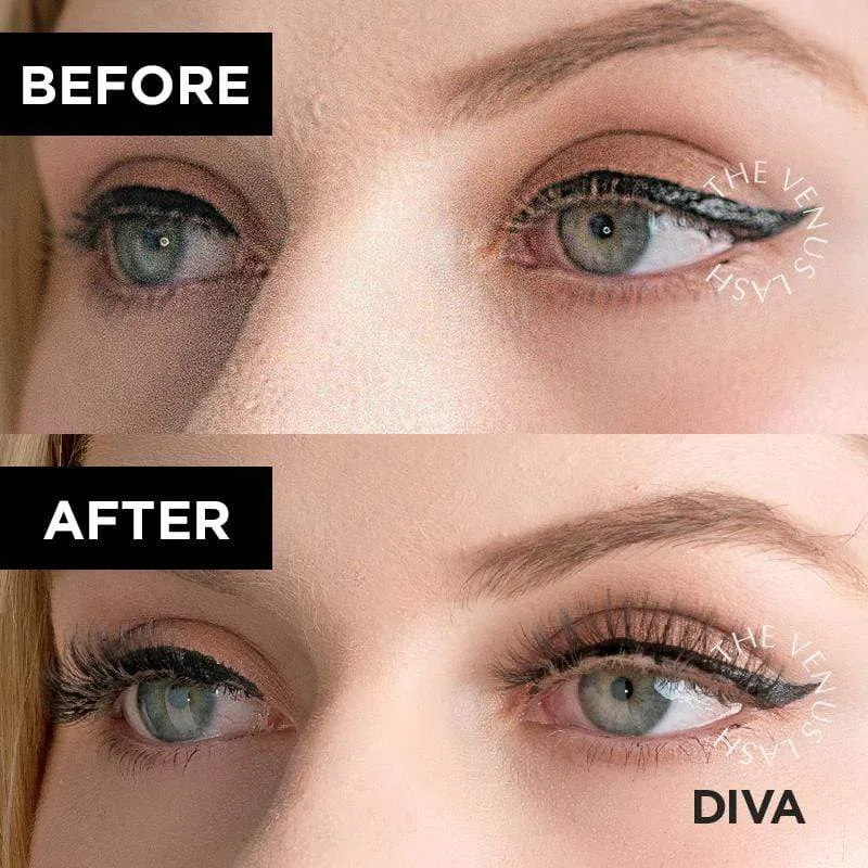 The Venus Lash™ Magnetic Eyelash & Eyeliner Kit (3 Pairs)