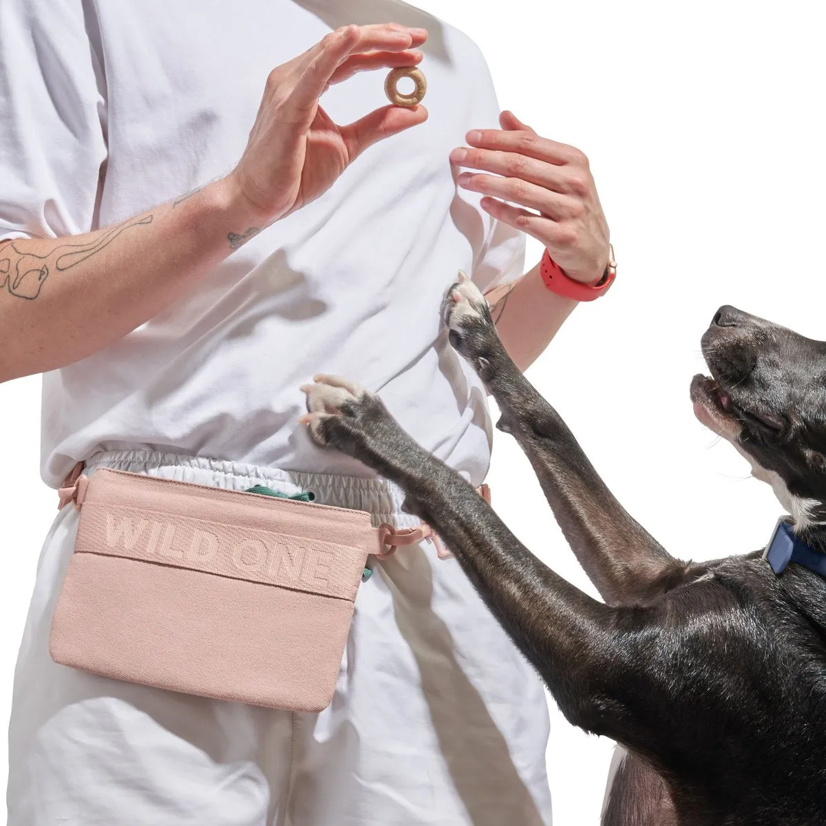 Treat Pouch