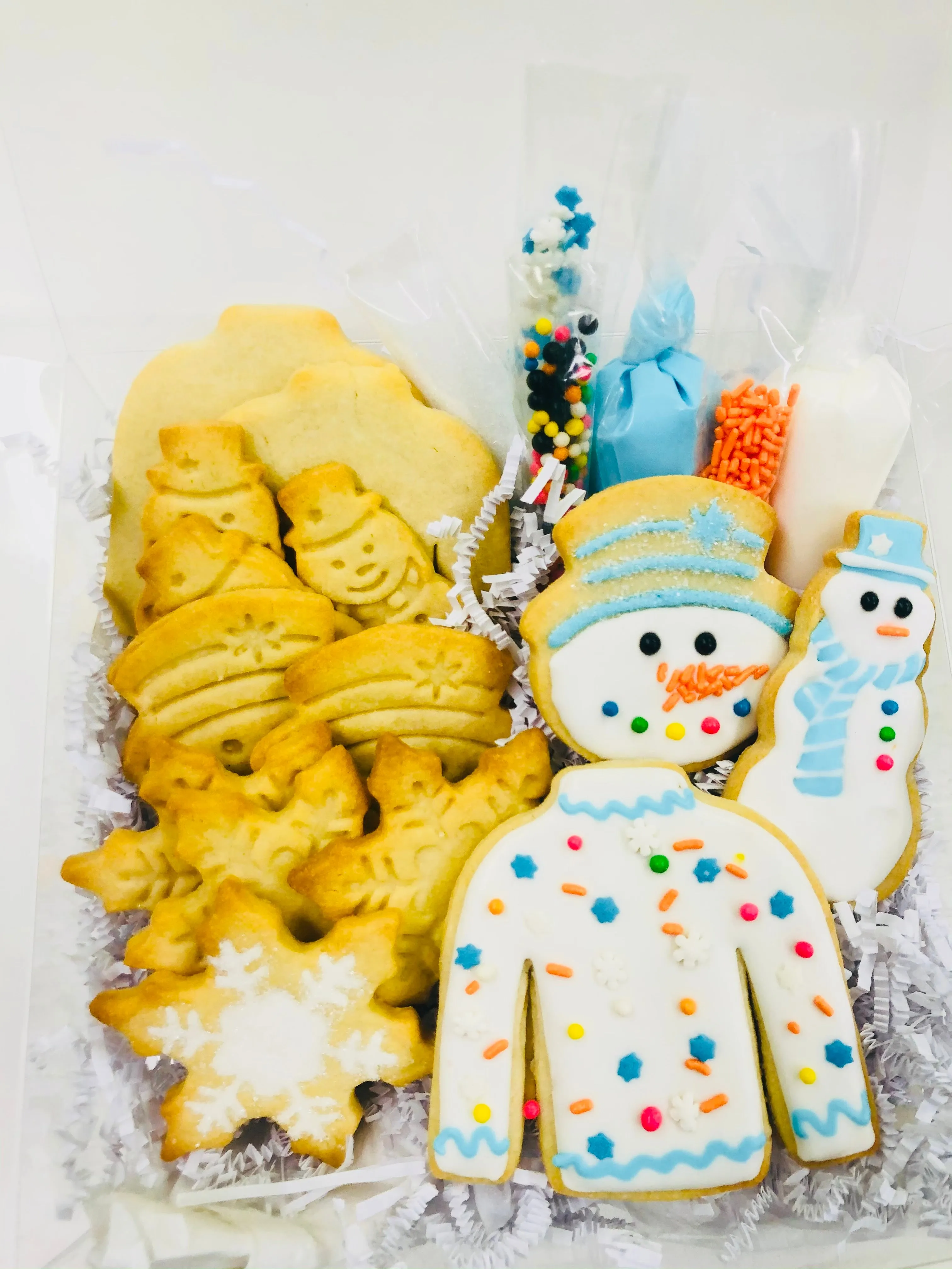 Winter Cookie Decorating Kit